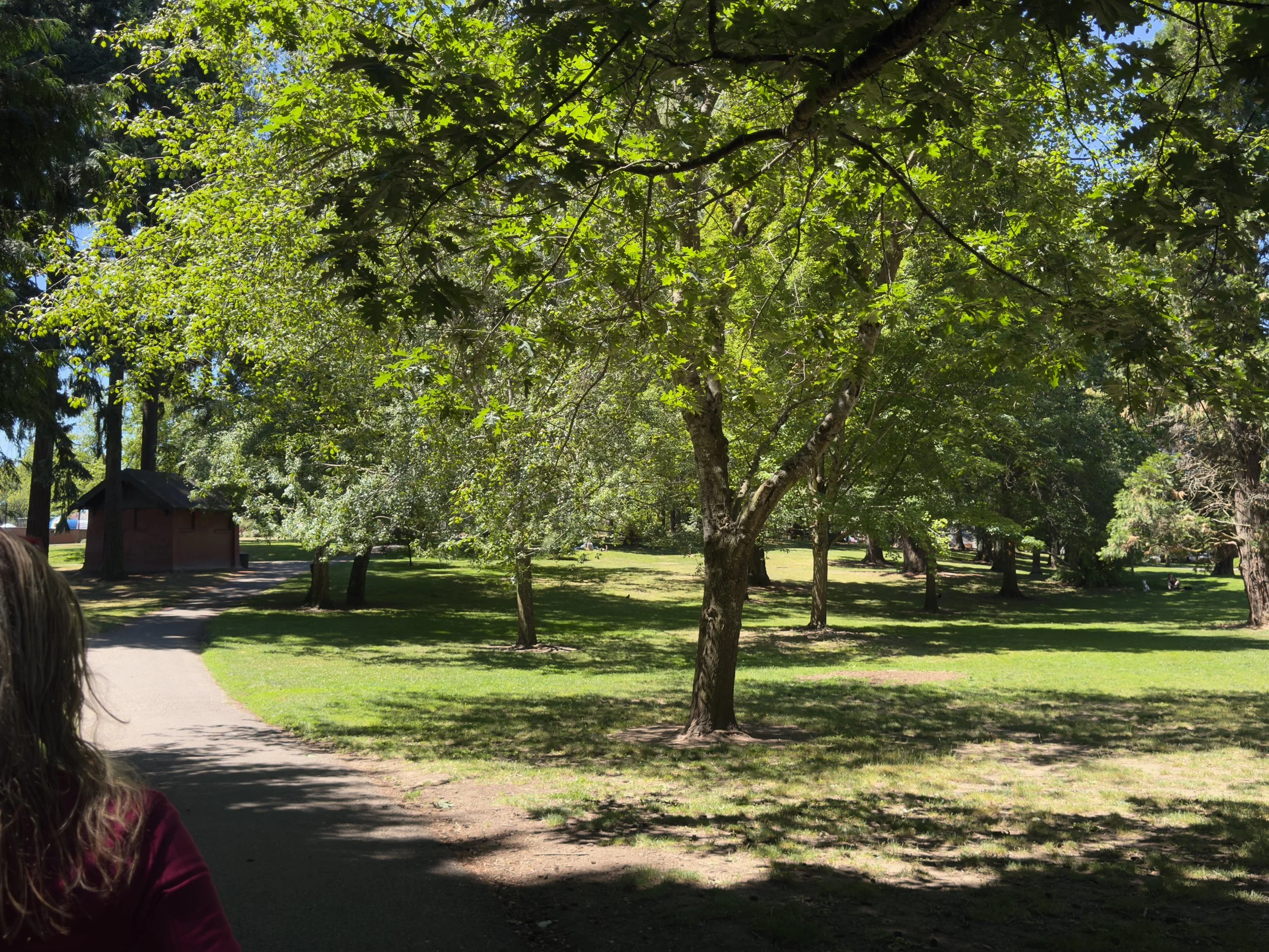 grant park_39.jpg