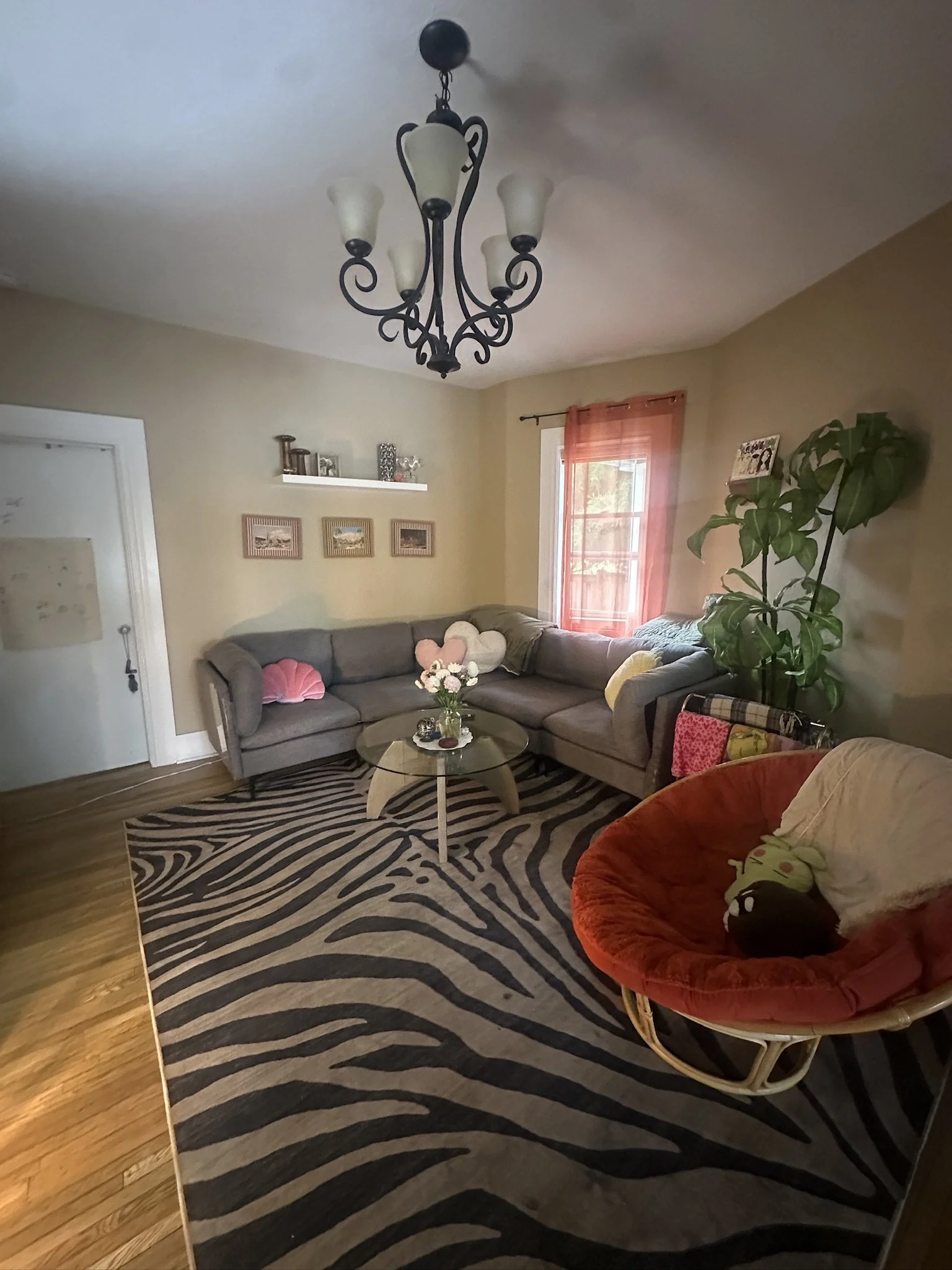 C340FEAB-6F61-40D6-81FF-70F696F19F9D_1_102_o.jpeg