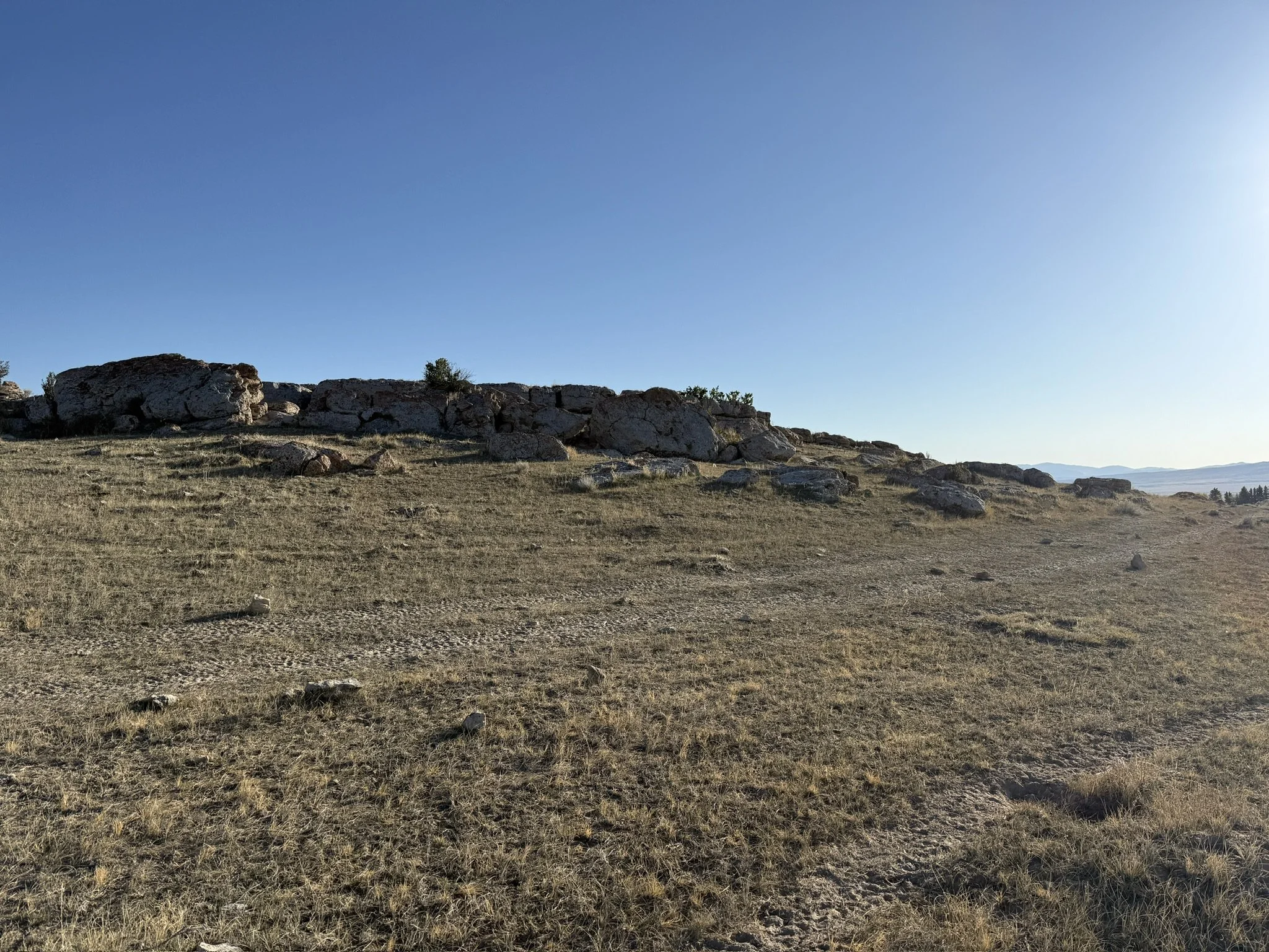 51DFA379-918F-4F57-B283-543E9D0C8E0C_1_102_o.jpeg
