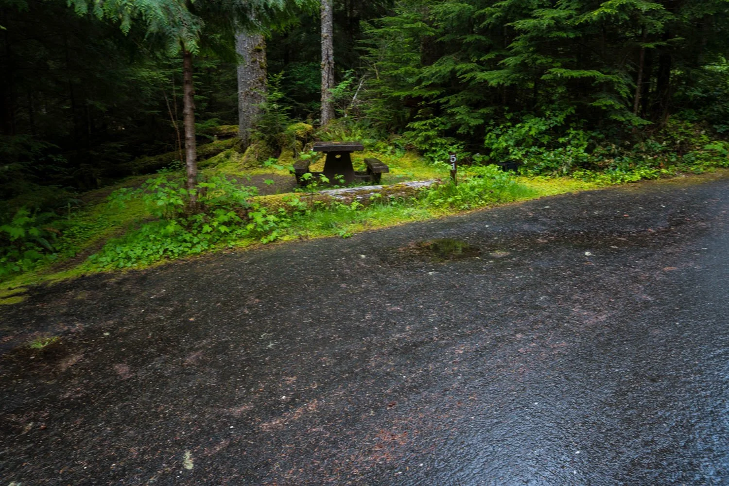 A7408883.jpg