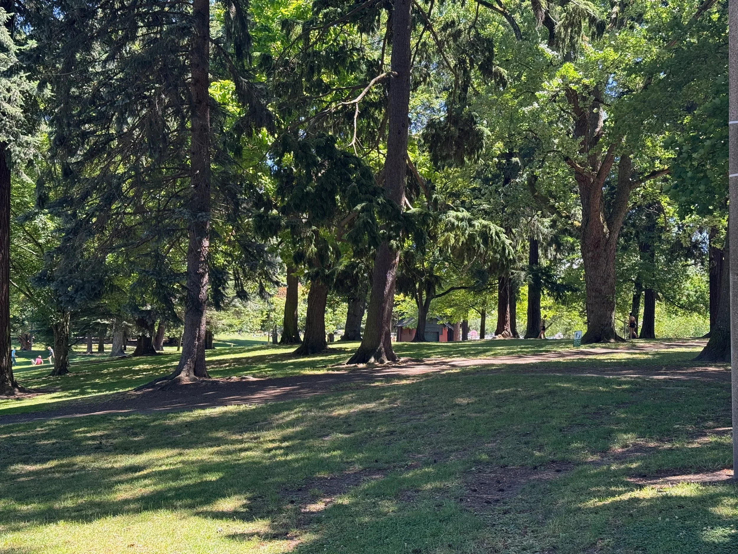 grant park_71.jpg