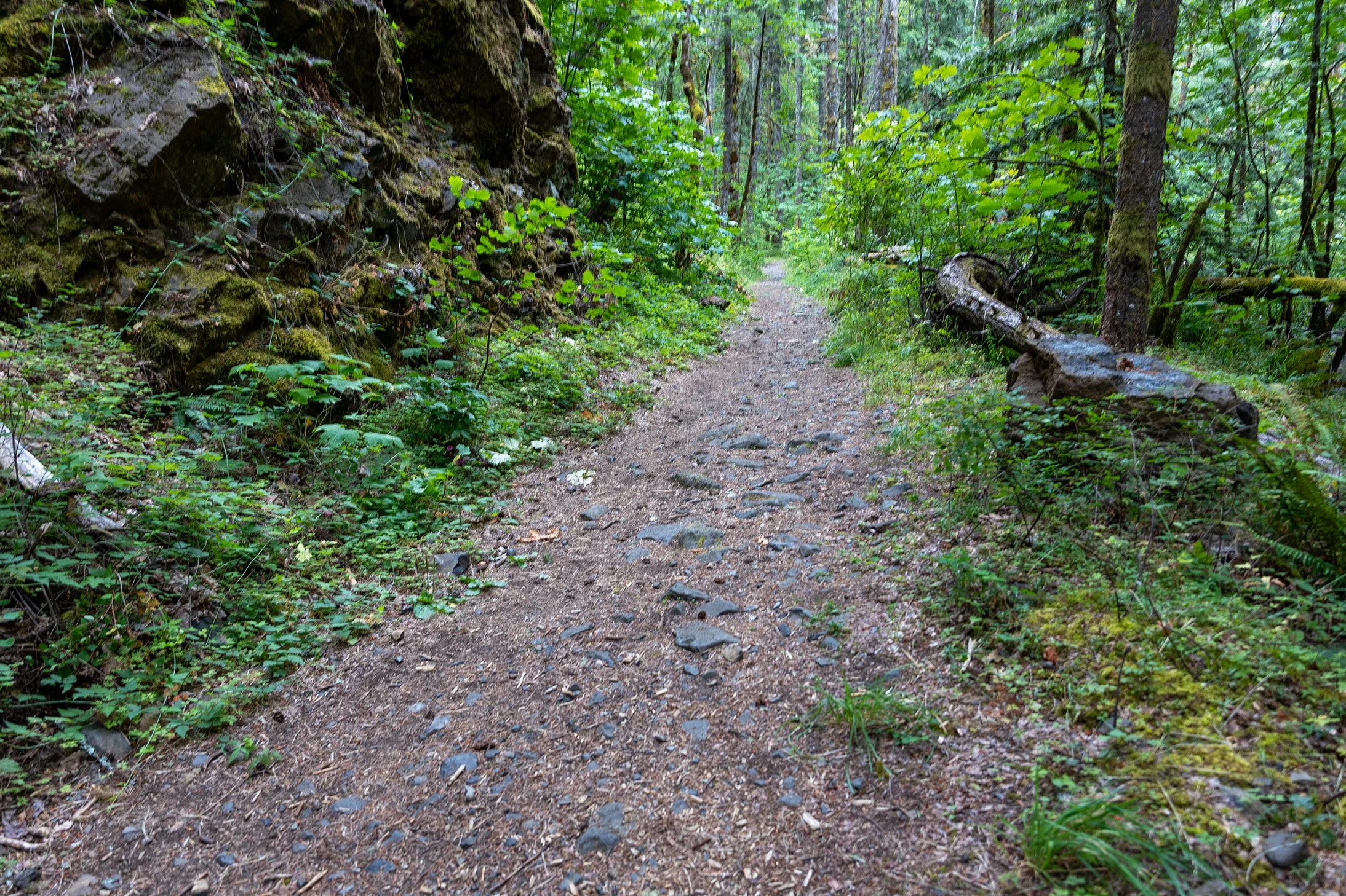 IMG_4382.jpeg