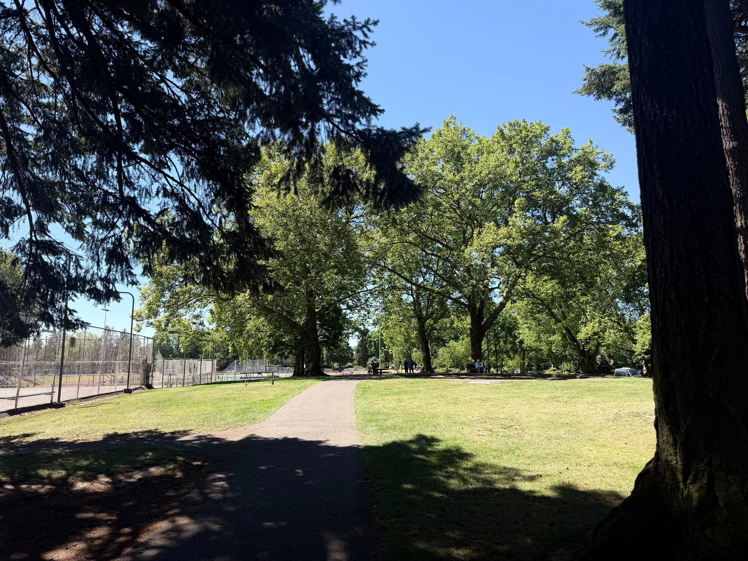 grant park_11.jpg