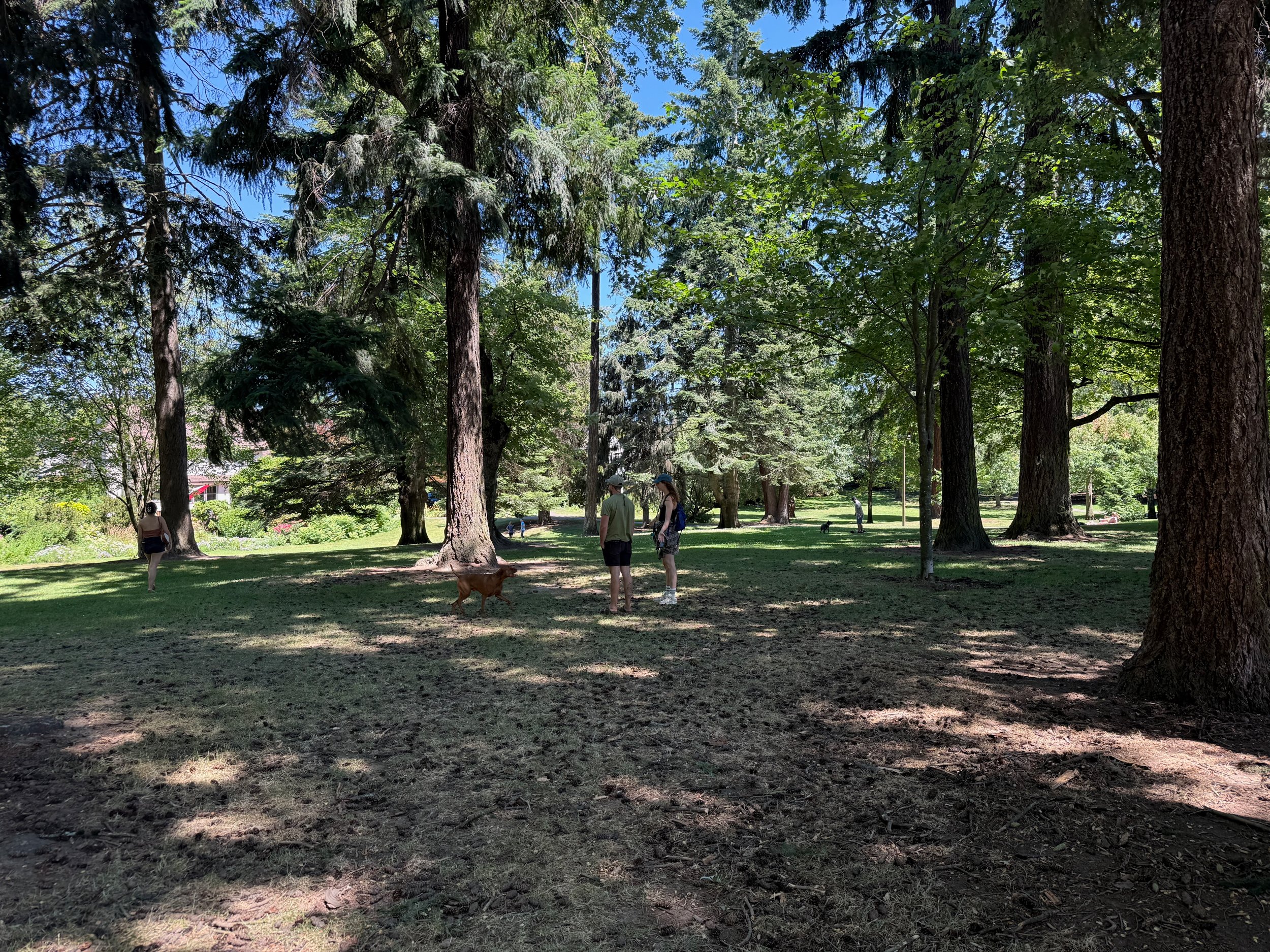 grant park_72.jpg