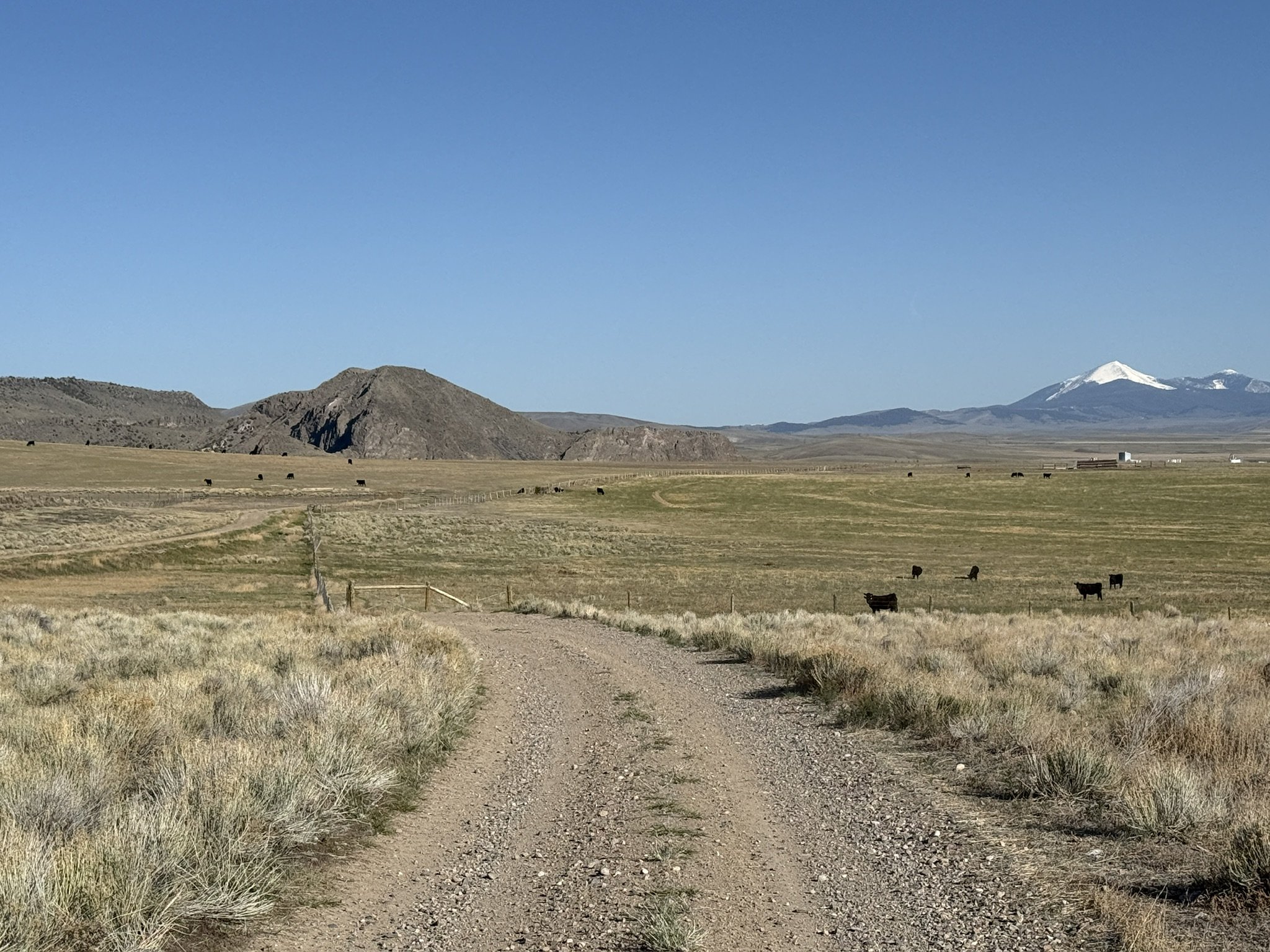 6338C88F-B143-477F-A03B-15CD6E58919D_1_102_o.jpeg