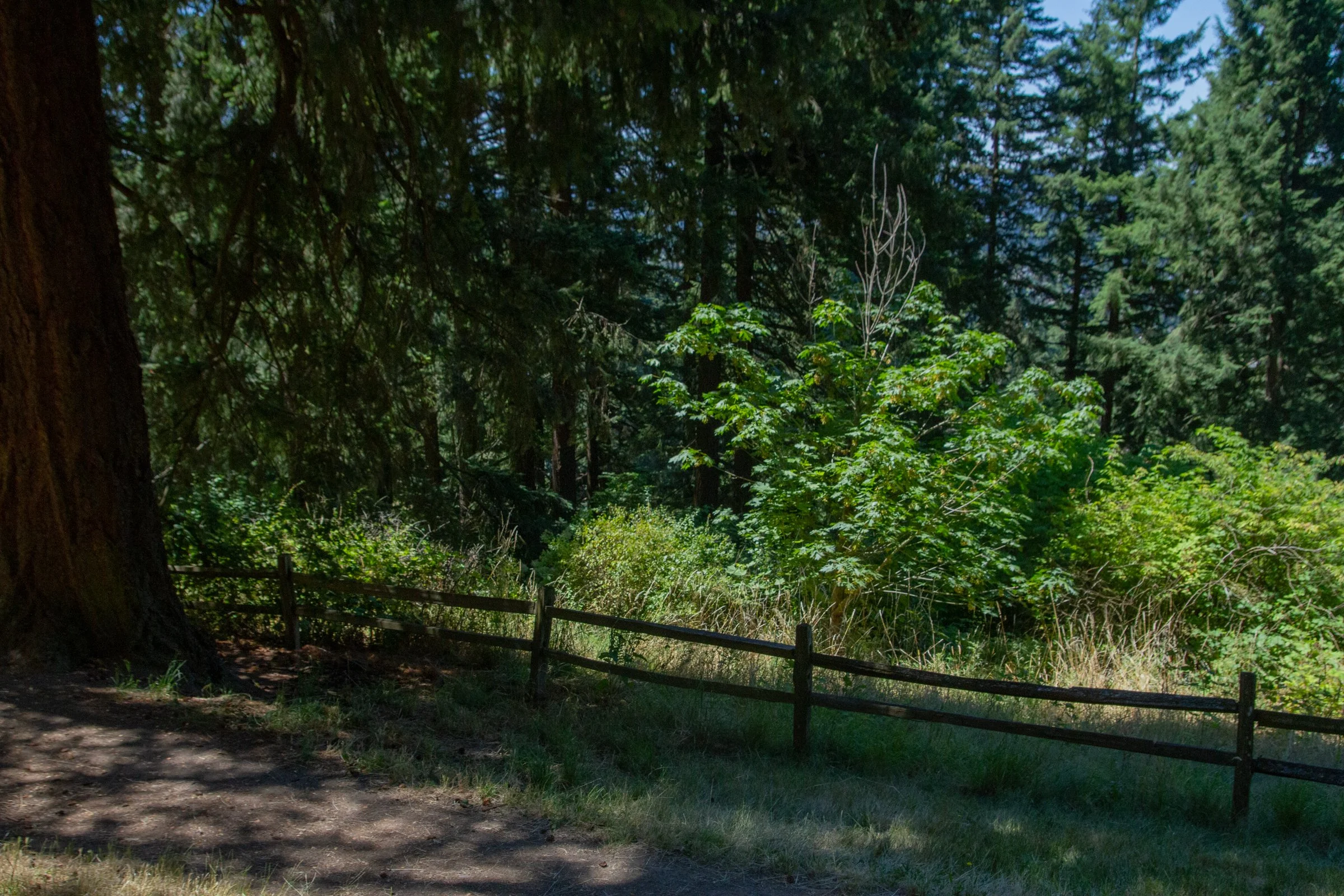 _MG_8792.jpg