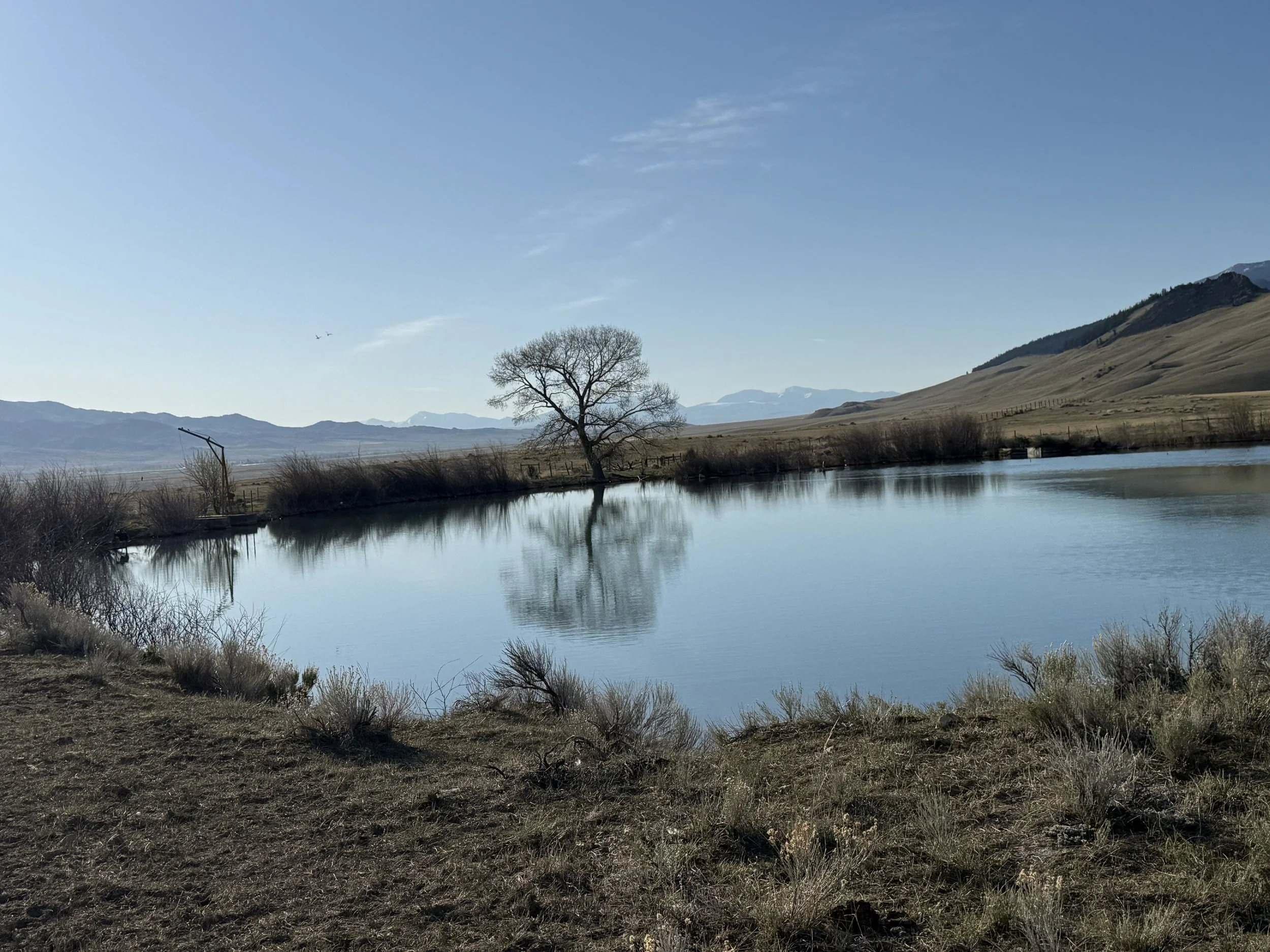 D16EA481-B63D-4912-B3EC-B8F50915F5F7.jpeg