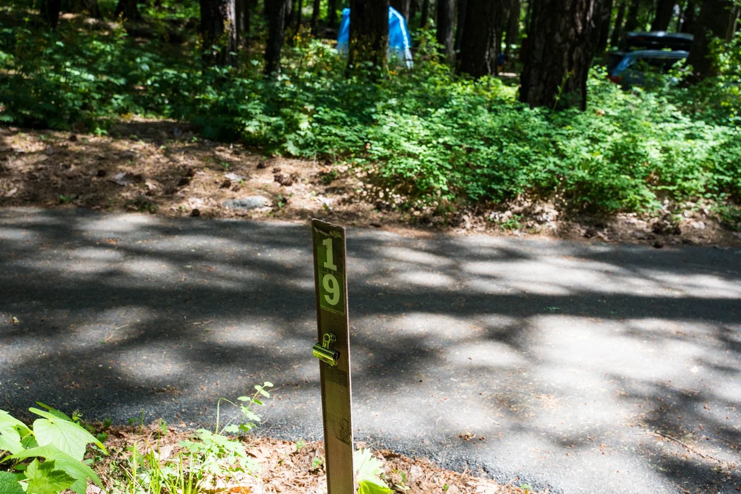 A7408630.jpg