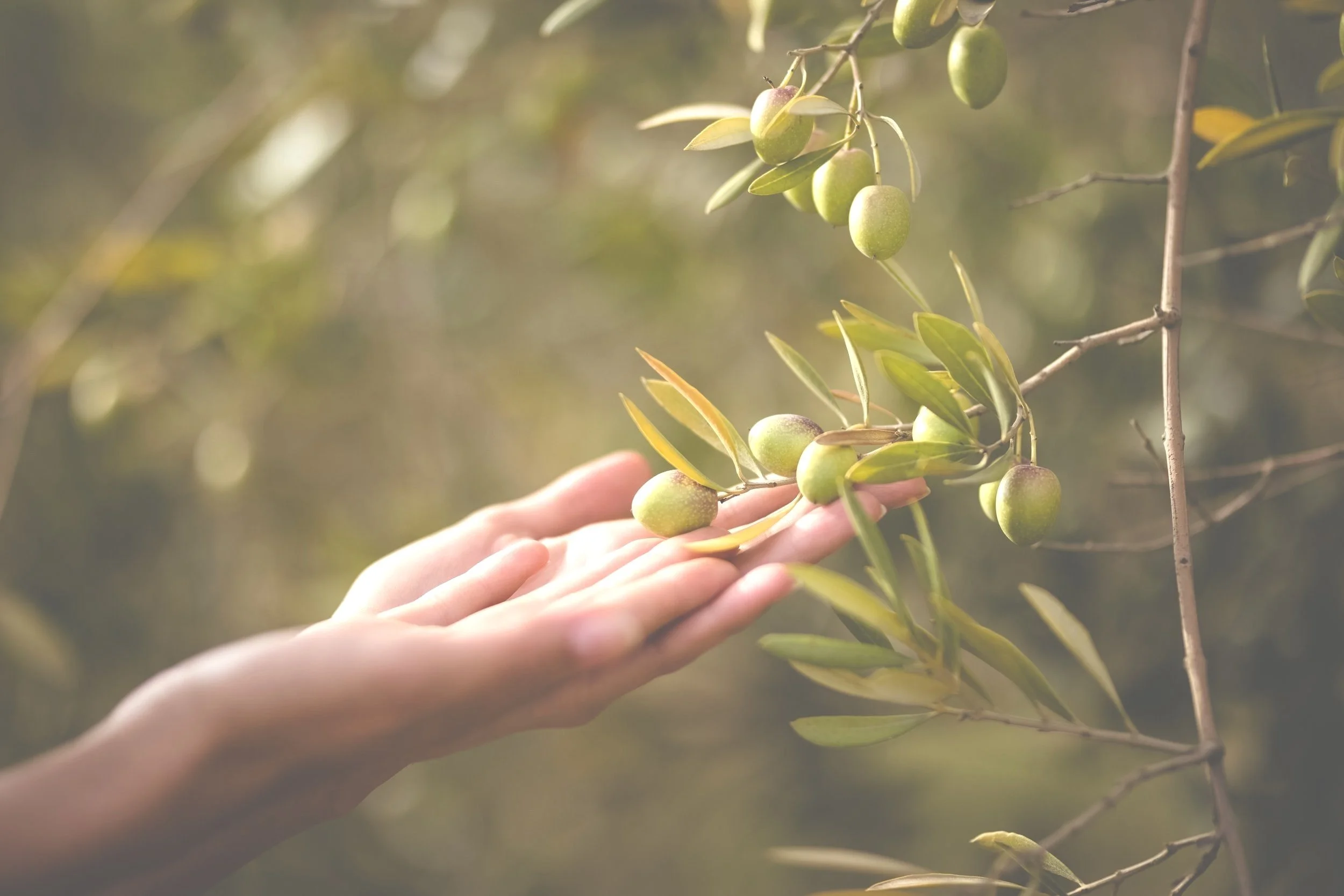 Insurance Coverage for Nutrition Counseling, Simplified