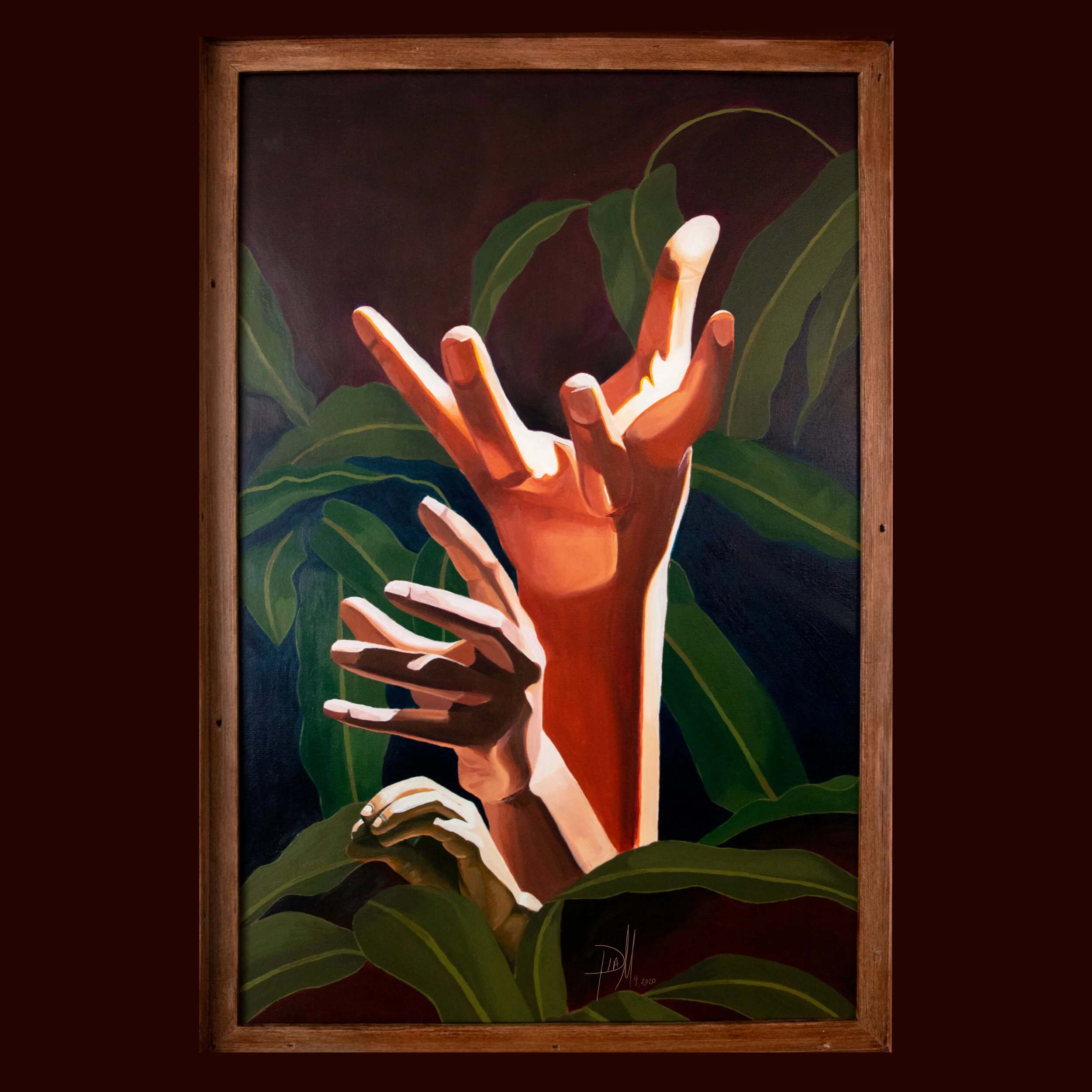 Growth: Mangifera Indica