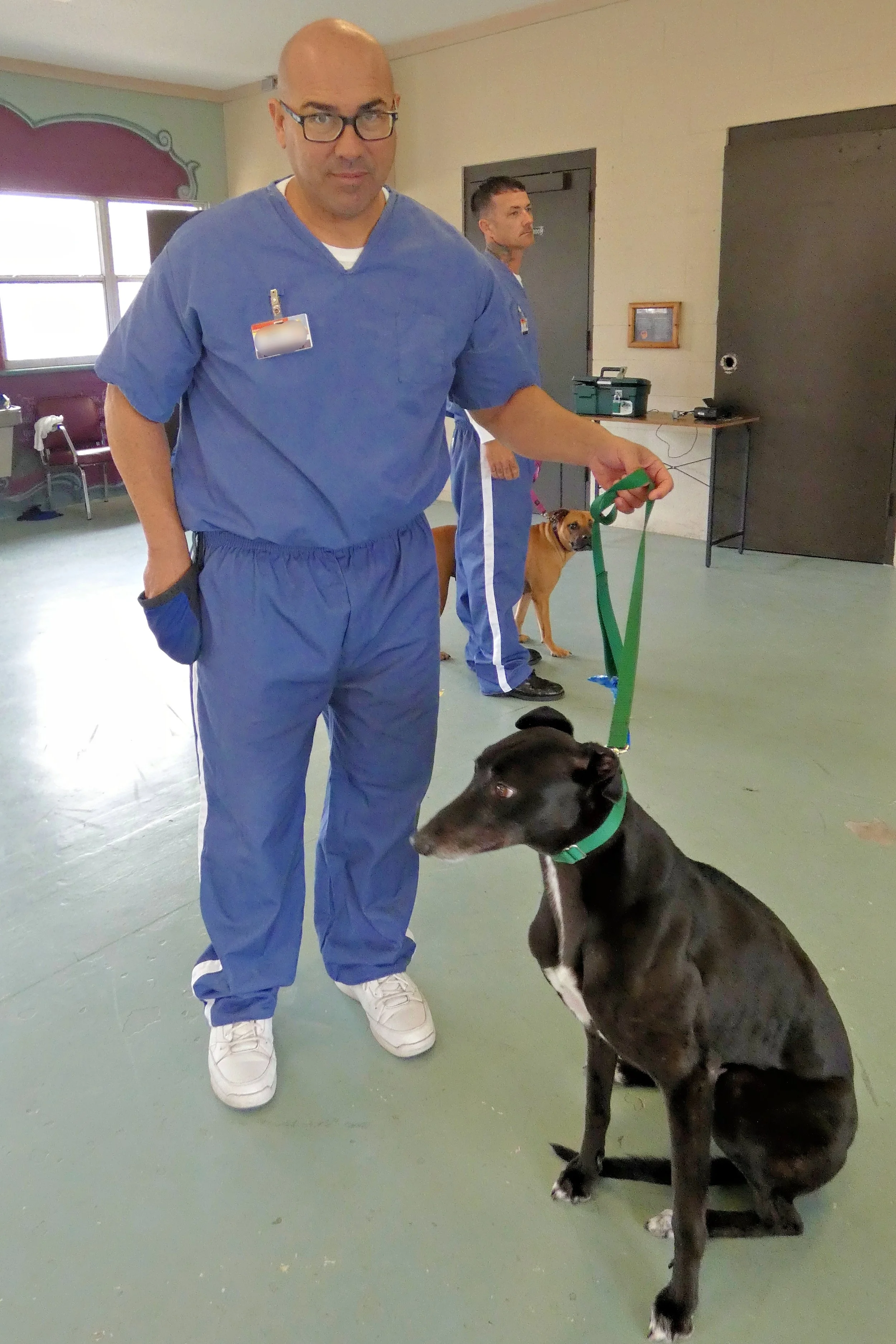 P1030806-8431(rev 2).jpg