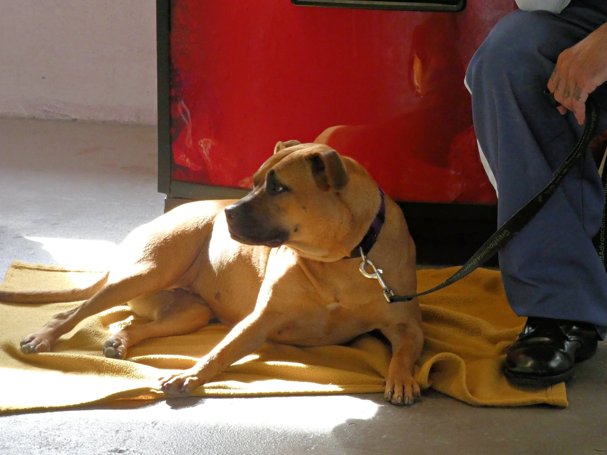 P1030832-8457(rev 1).jpg