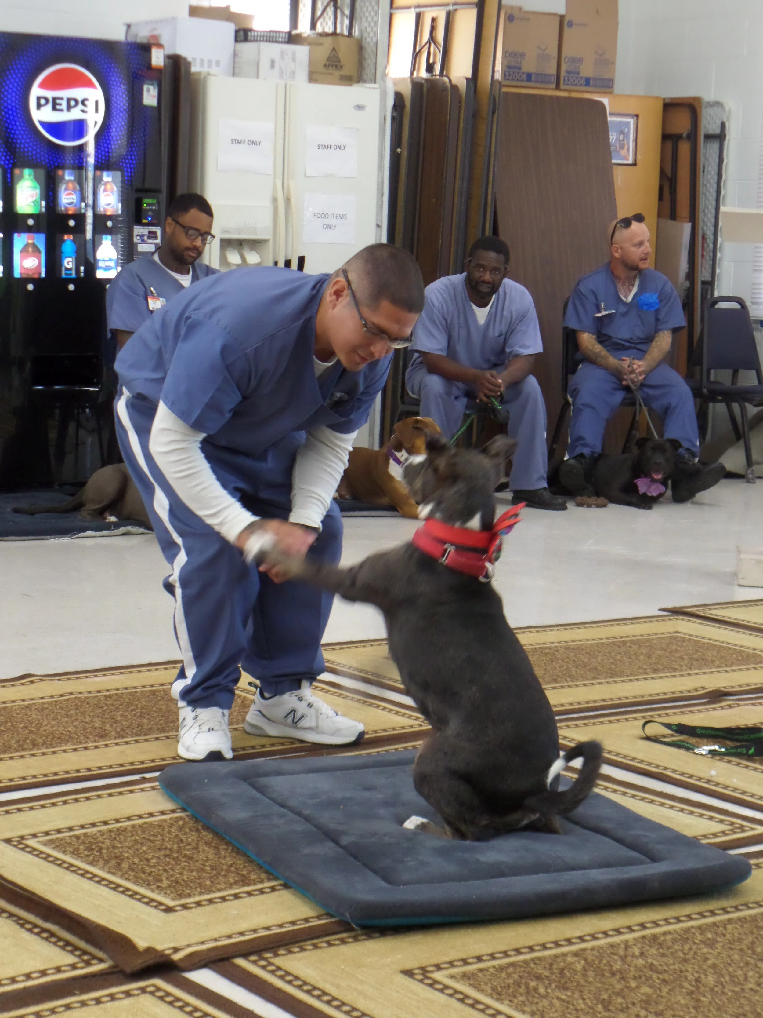 SAM_0987-8938(rev 0).jpg