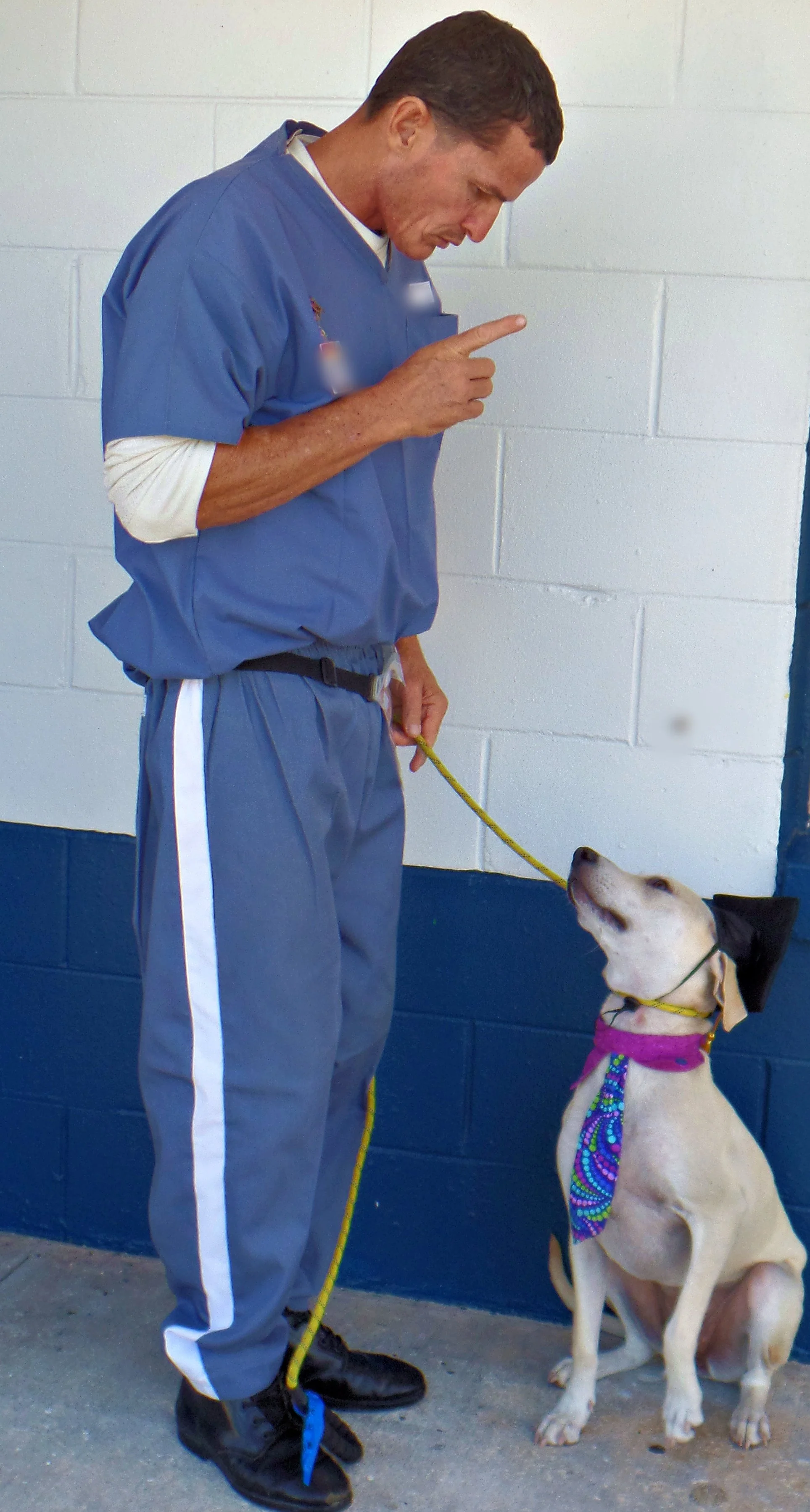 SAM_1023-8957(rev 1).jpg