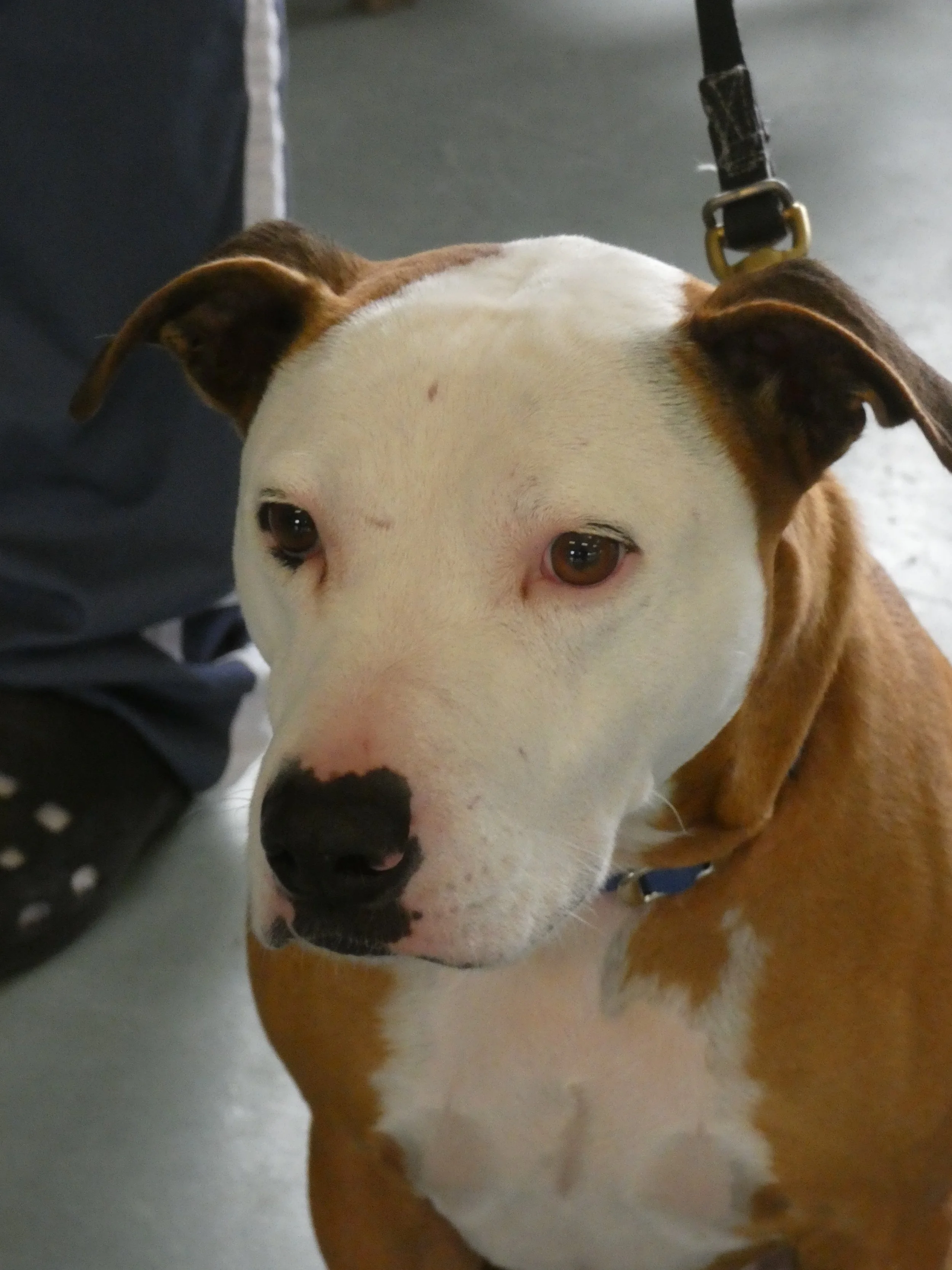 P1030811-8436(rev 0).jpg