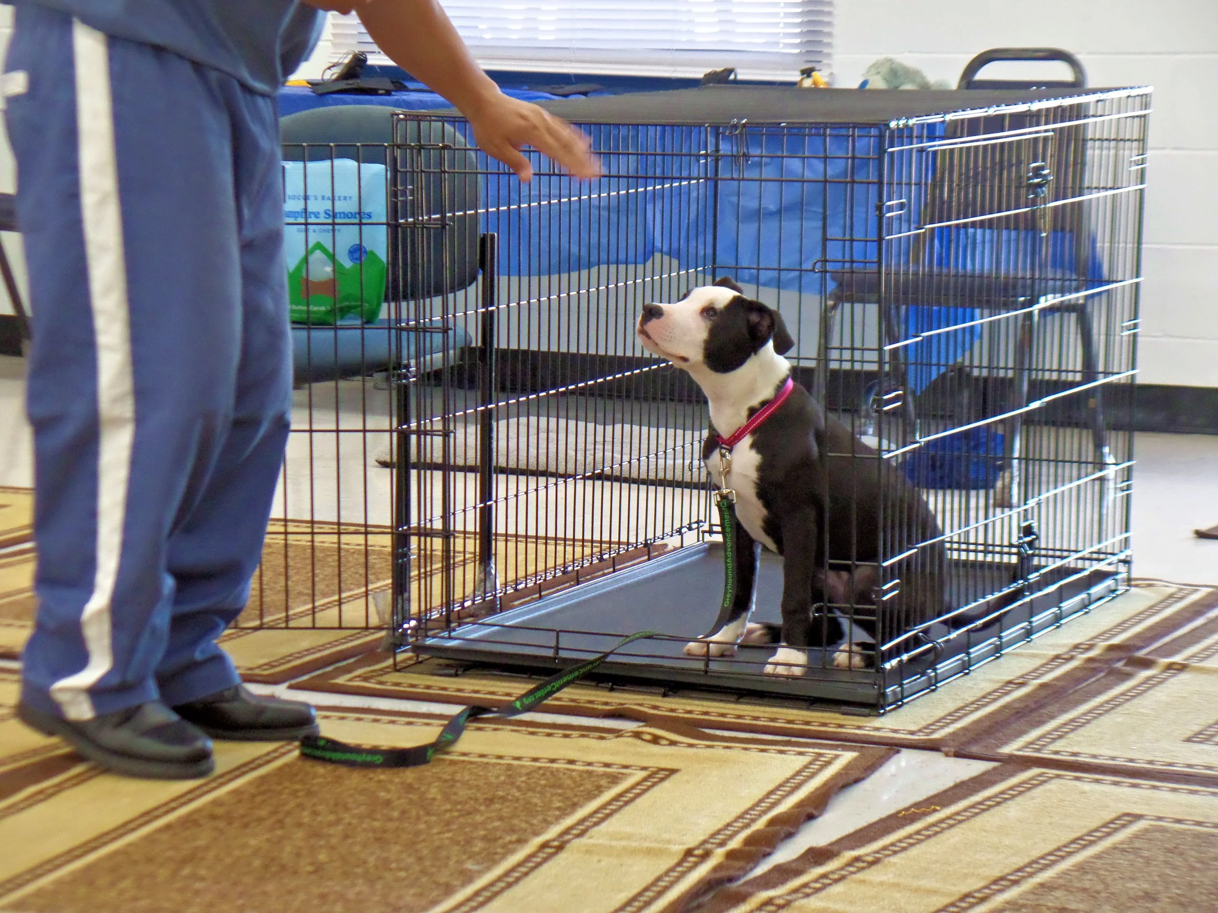 SAM_0967-8930(rev 1).jpg