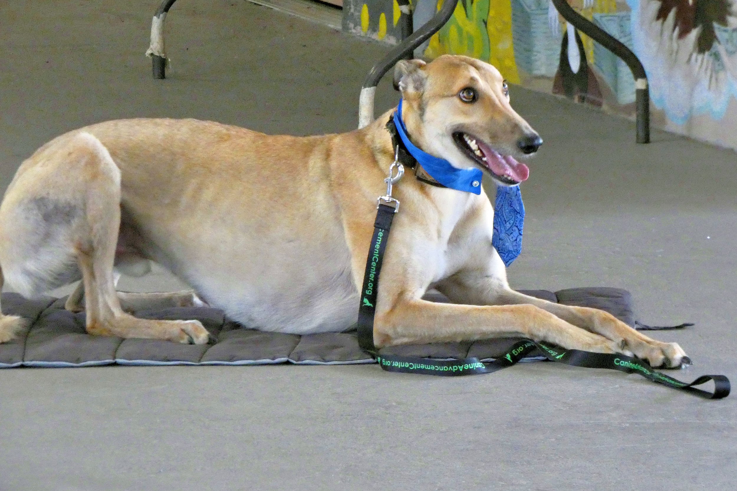 P1030835-8460(rev 1).jpg