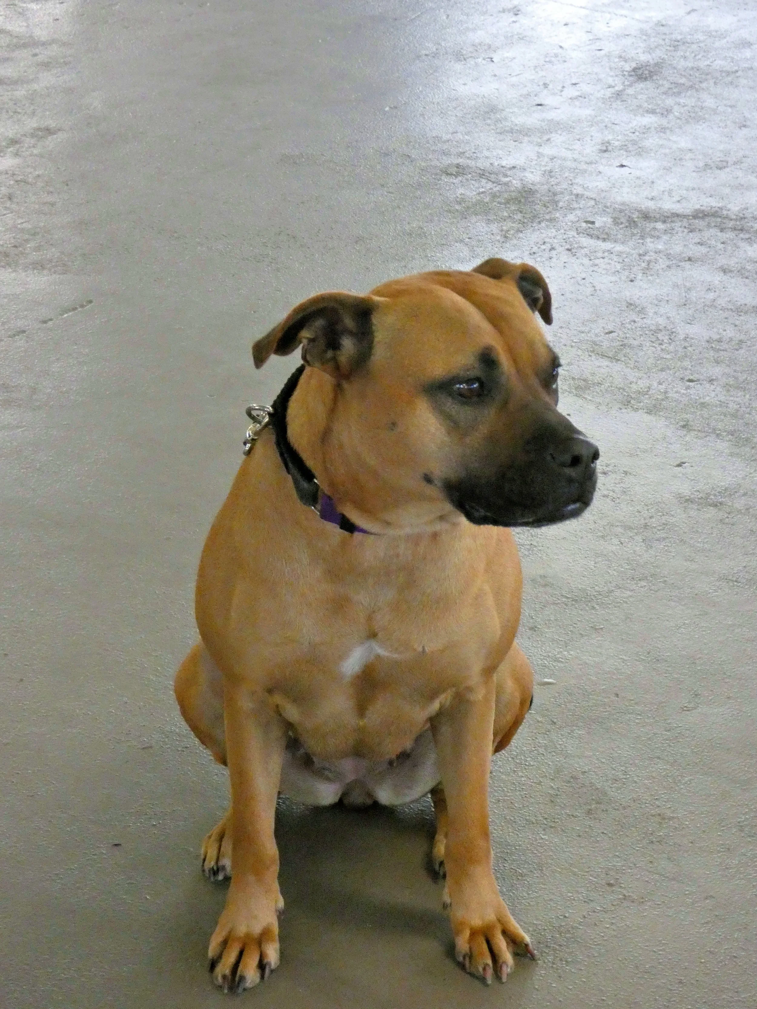 P1030824-8449(rev 1).jpg