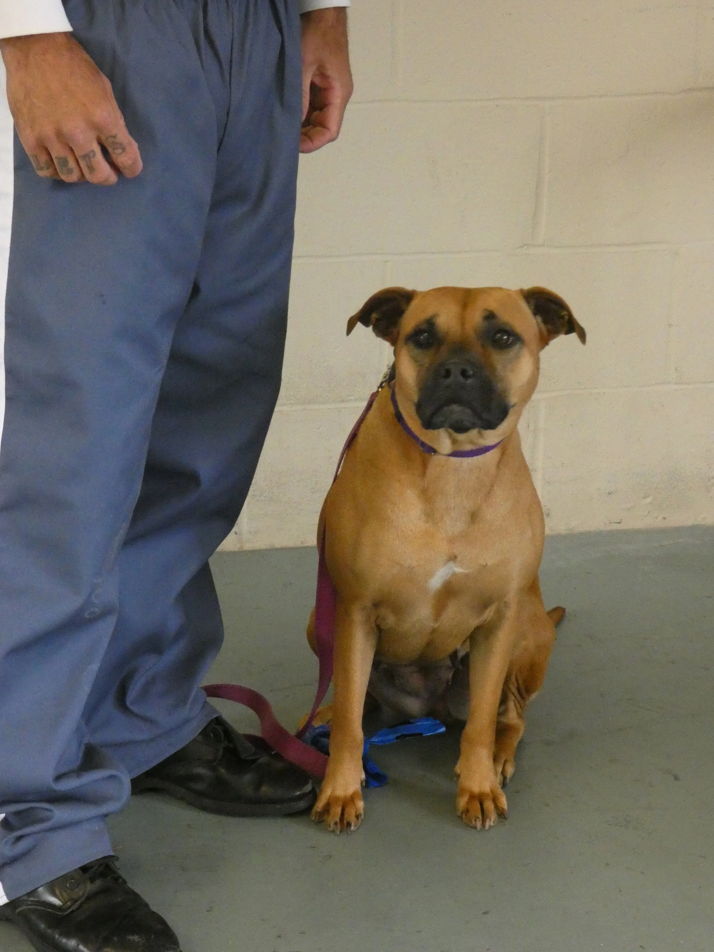 P1030813-8438(rev 0).jpg