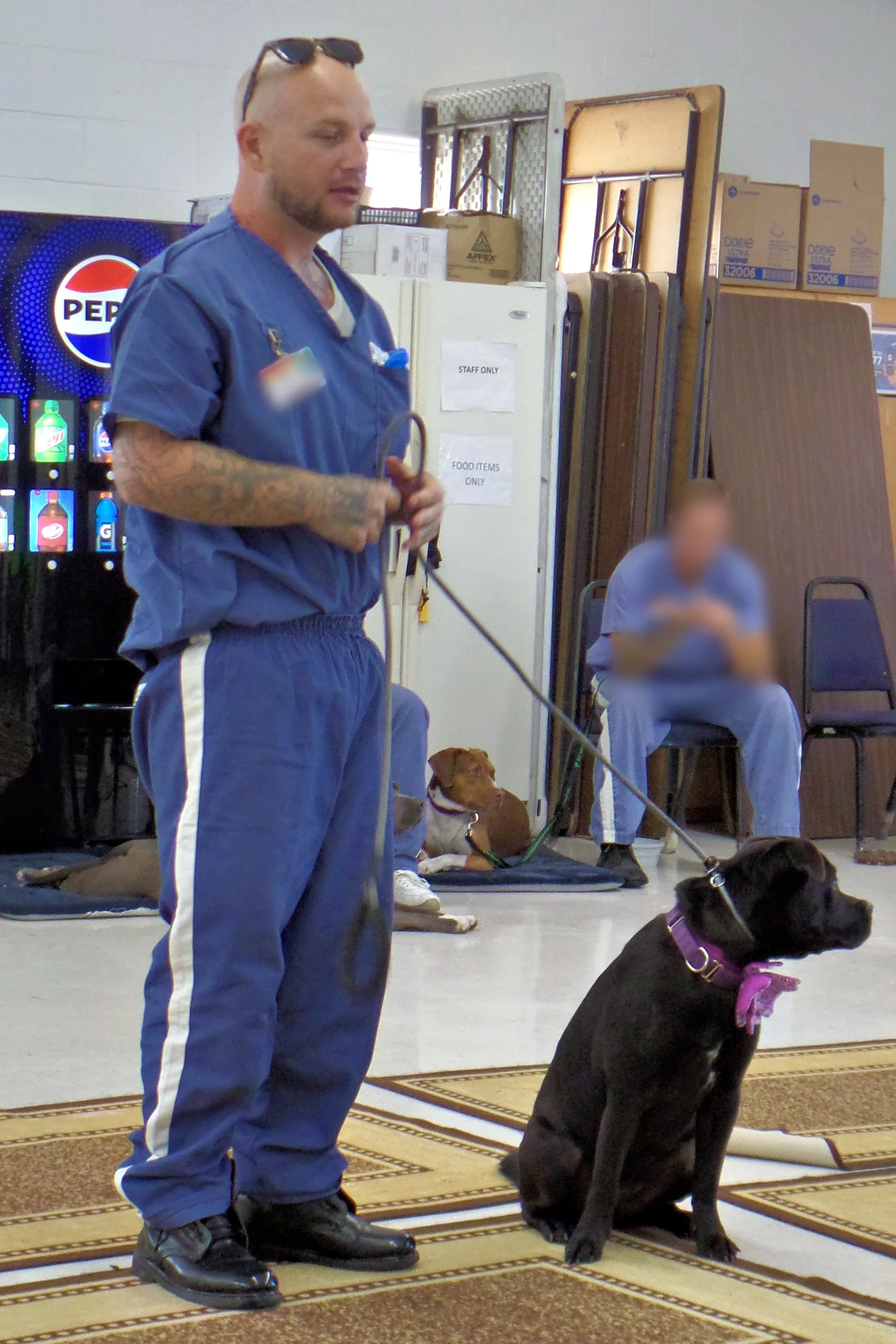 SAM_0992-8941(rev 1).jpg