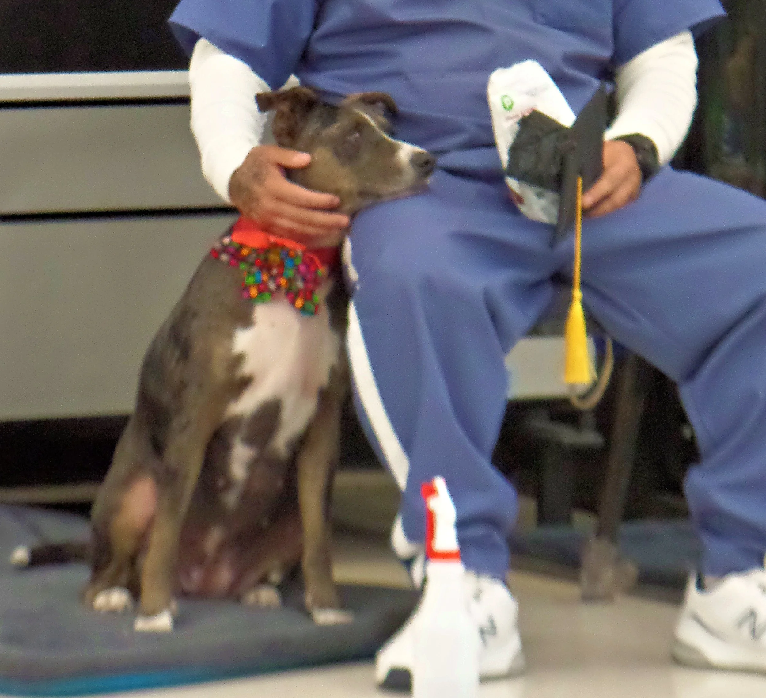 SAM_0933-8922(rev 1).jpg