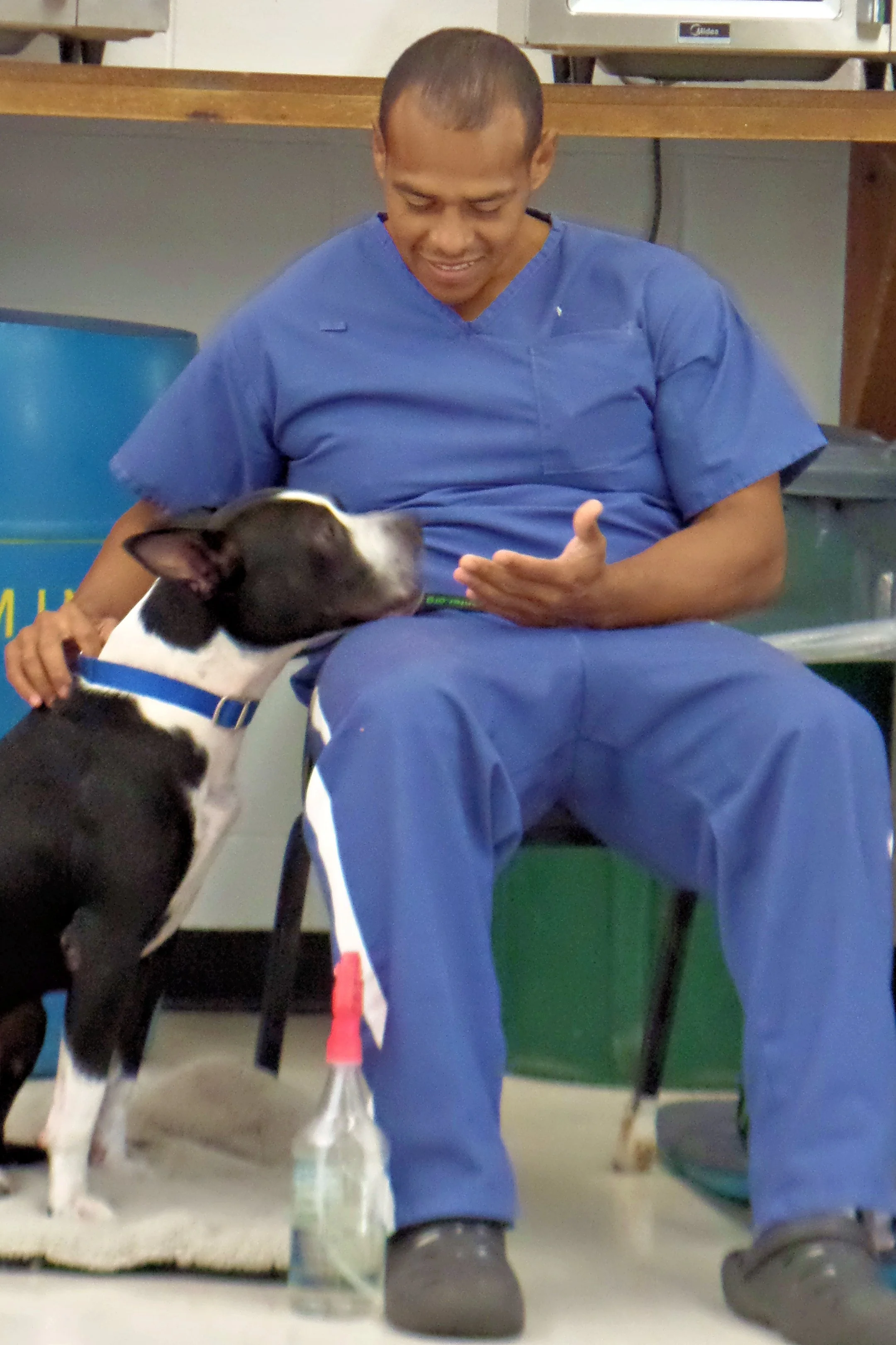 SAM_0983-8936(rev 1).jpg