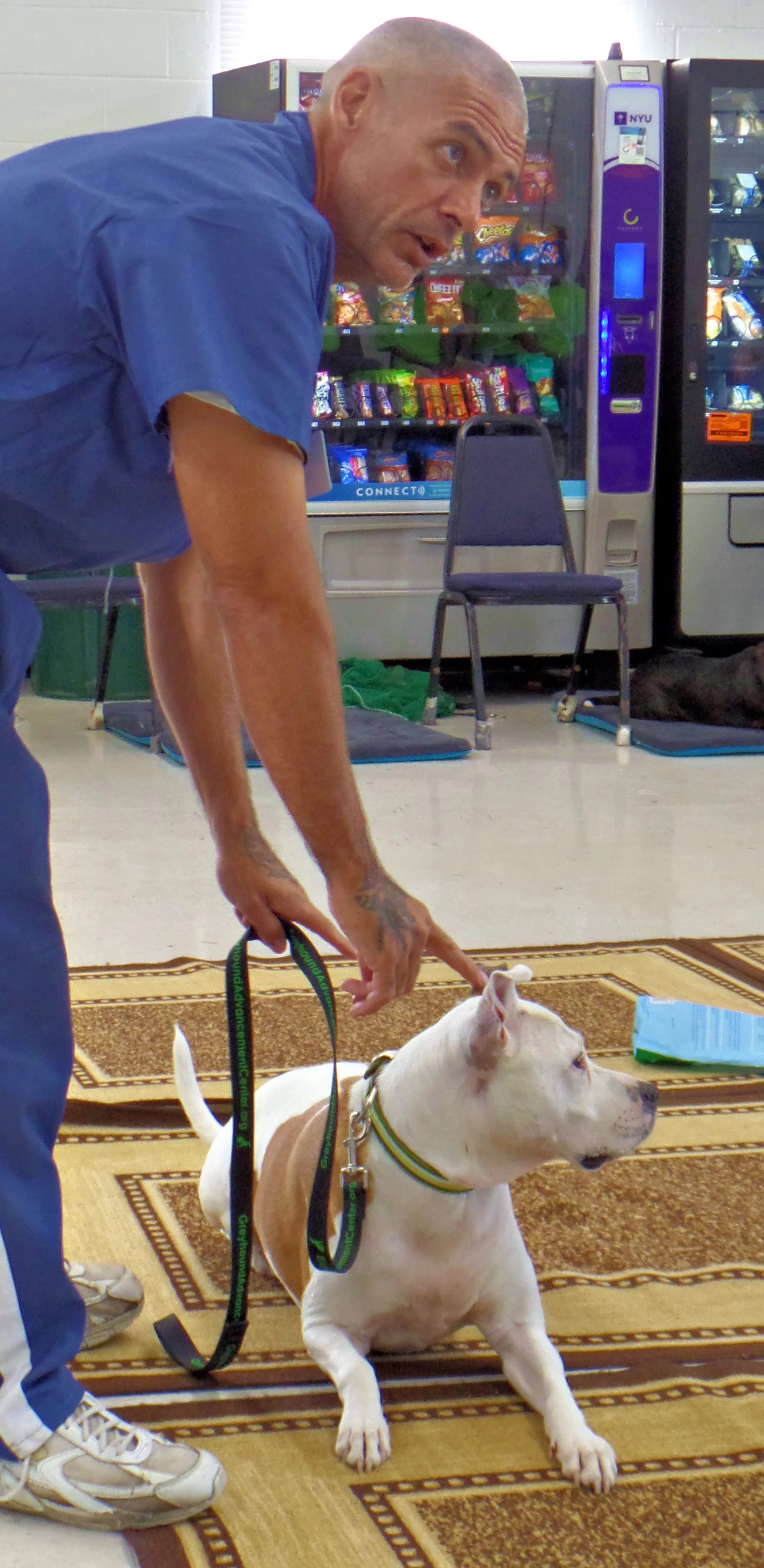 SAM_0999-8944(rev 1).jpg