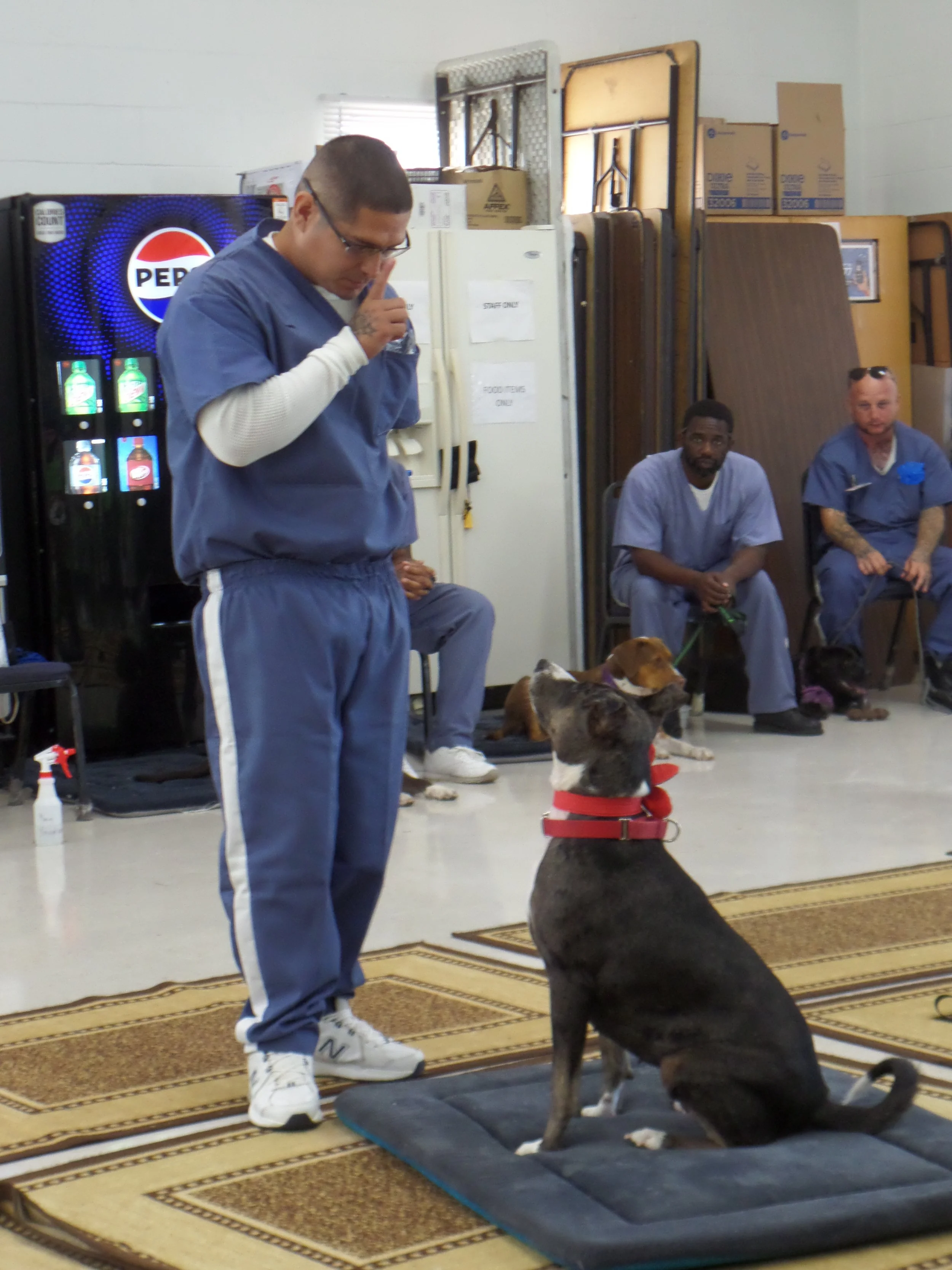 SAM_0984-8937(rev 0).jpg