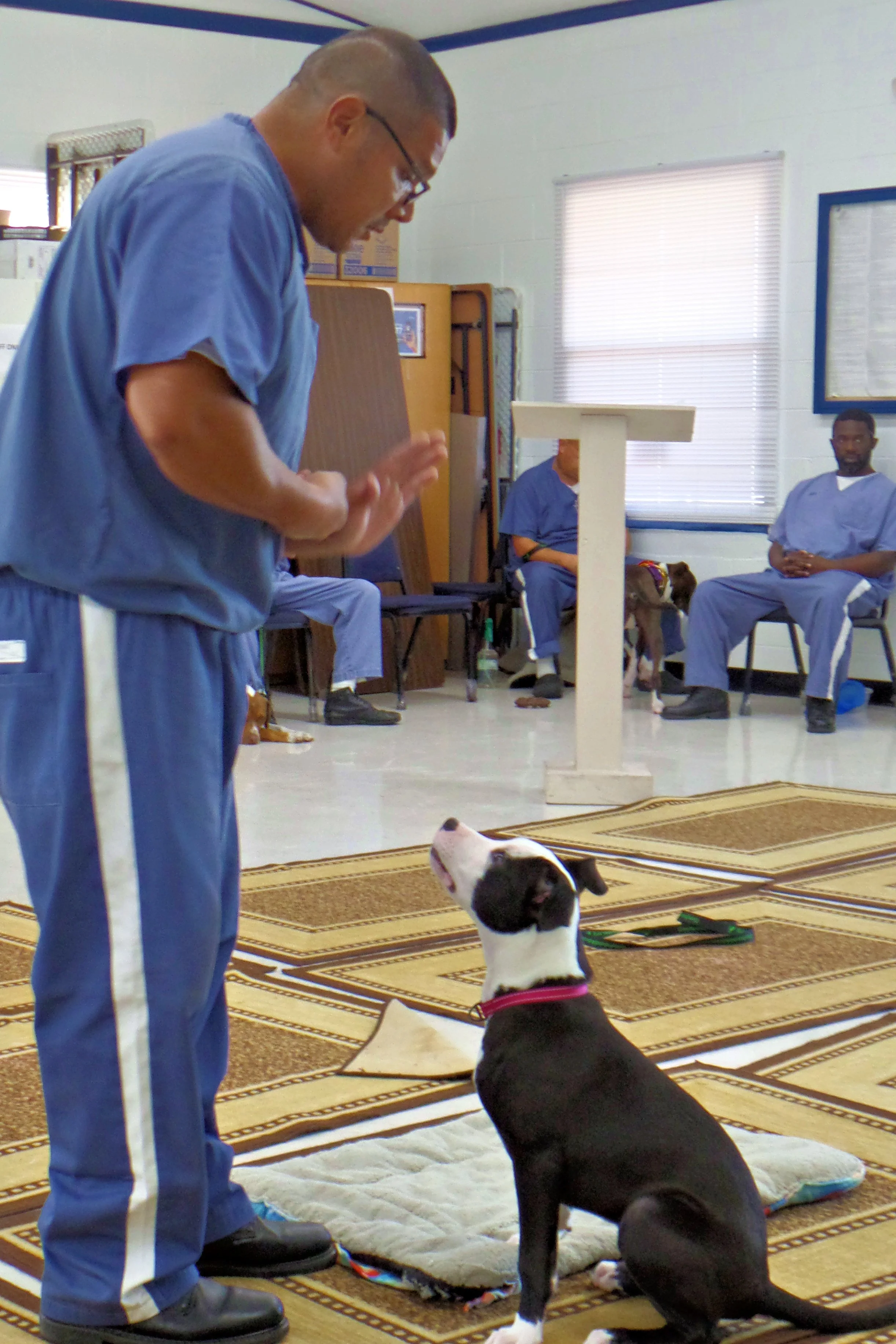 SAM_0968-8931(rev 1).jpg