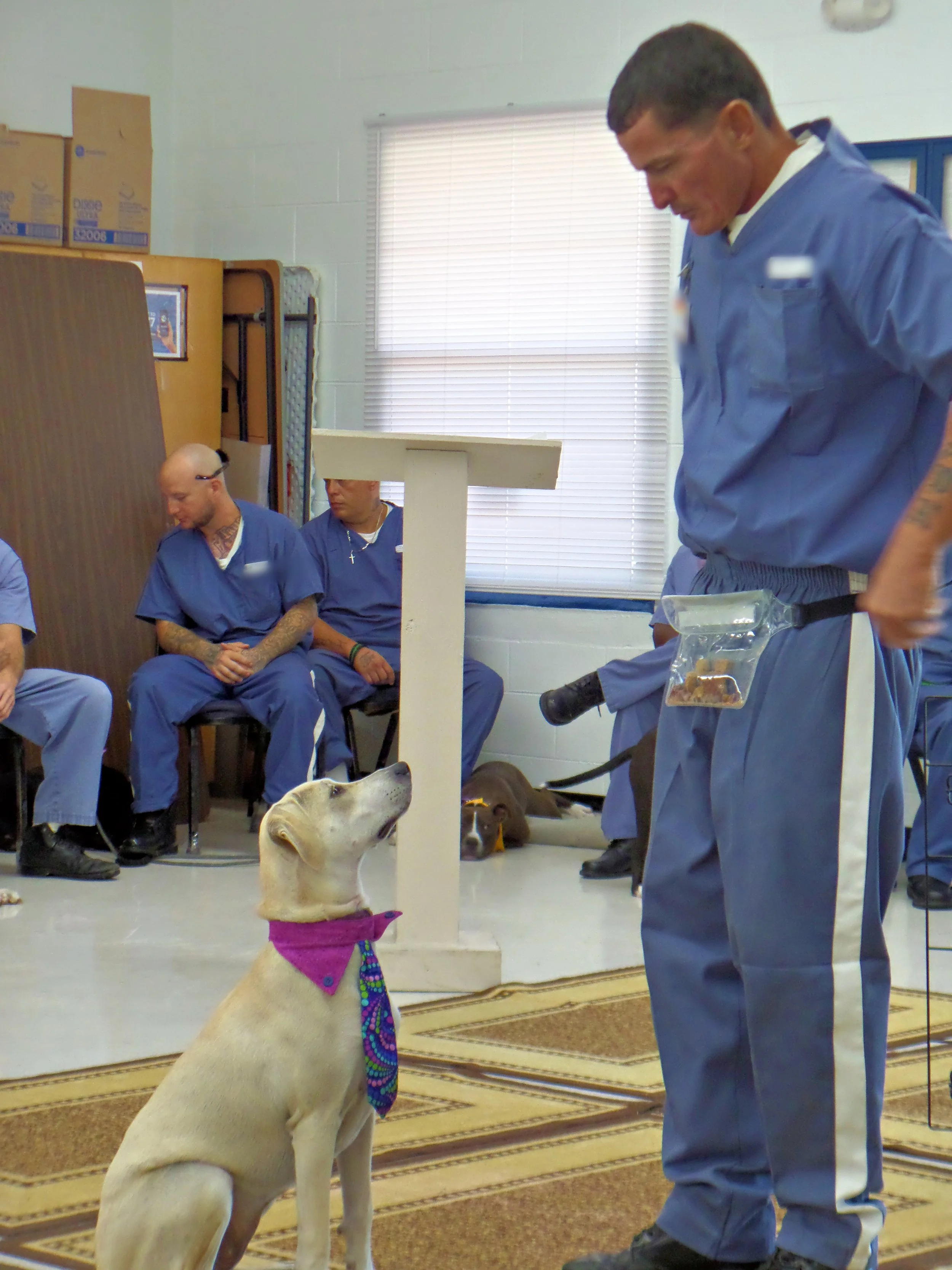 SAM_0943-8927(rev 1).jpg