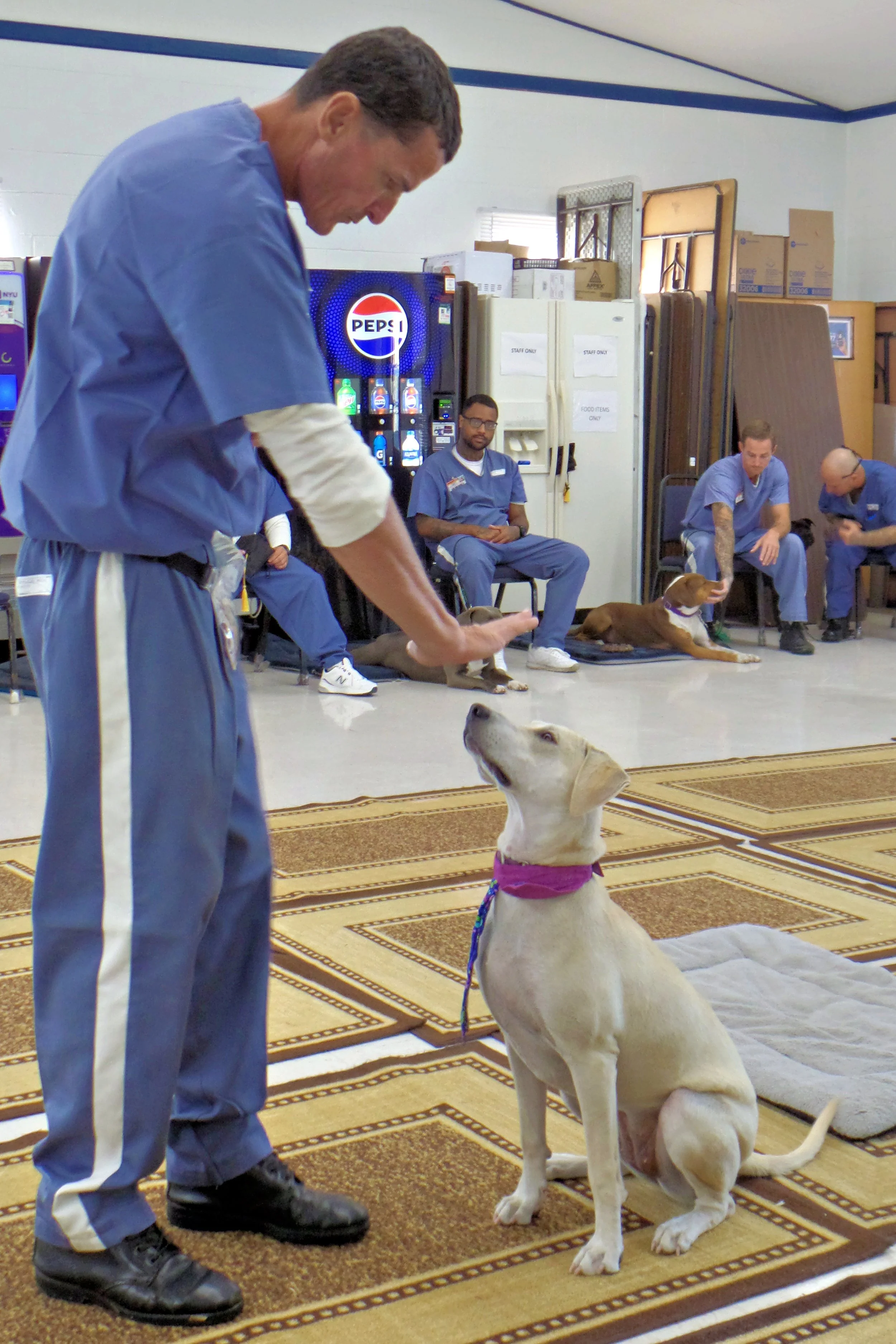 SAM_0941-8926(rev 1).jpg