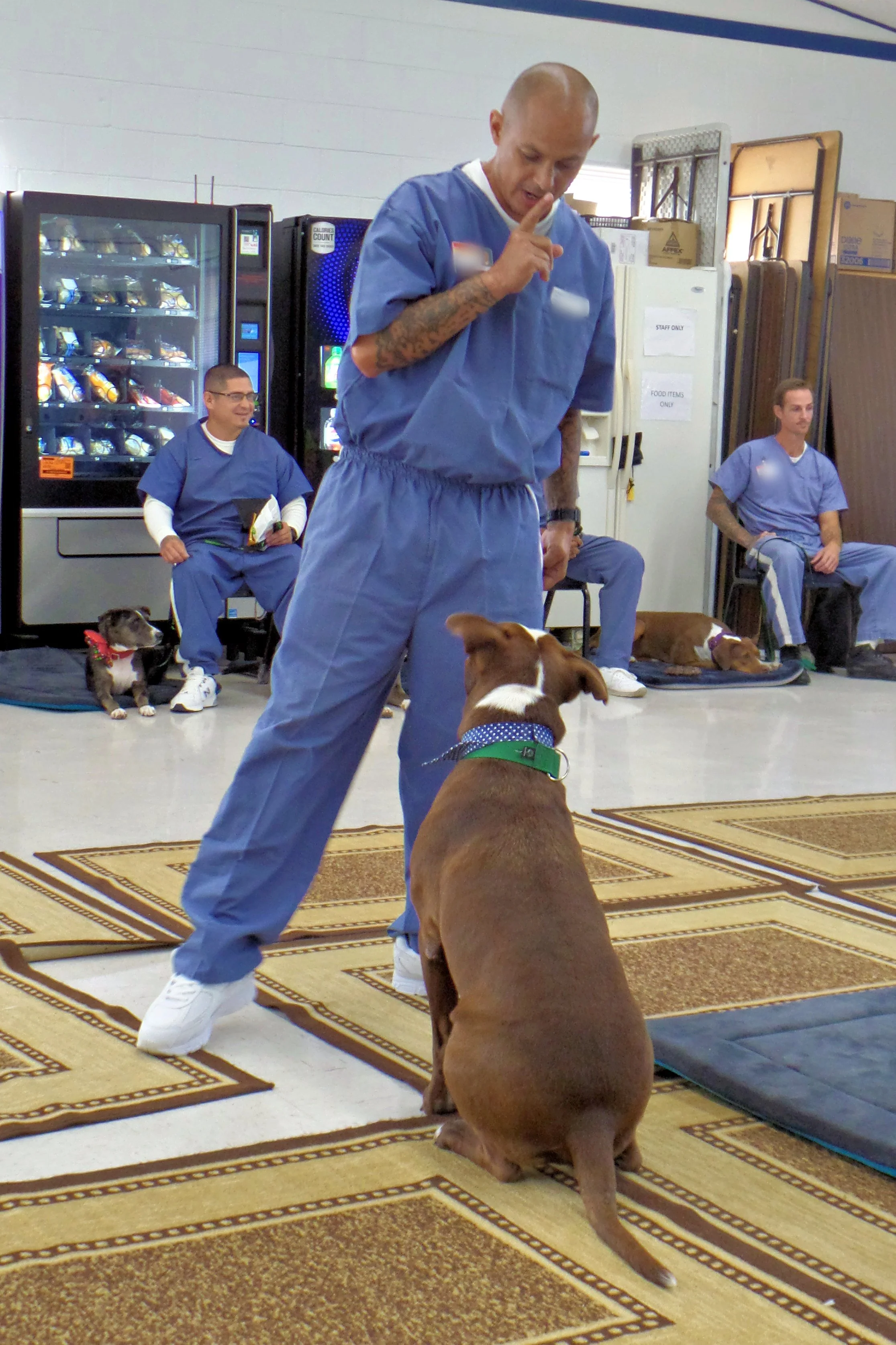 SAM_0925-8918(rev 1).jpg