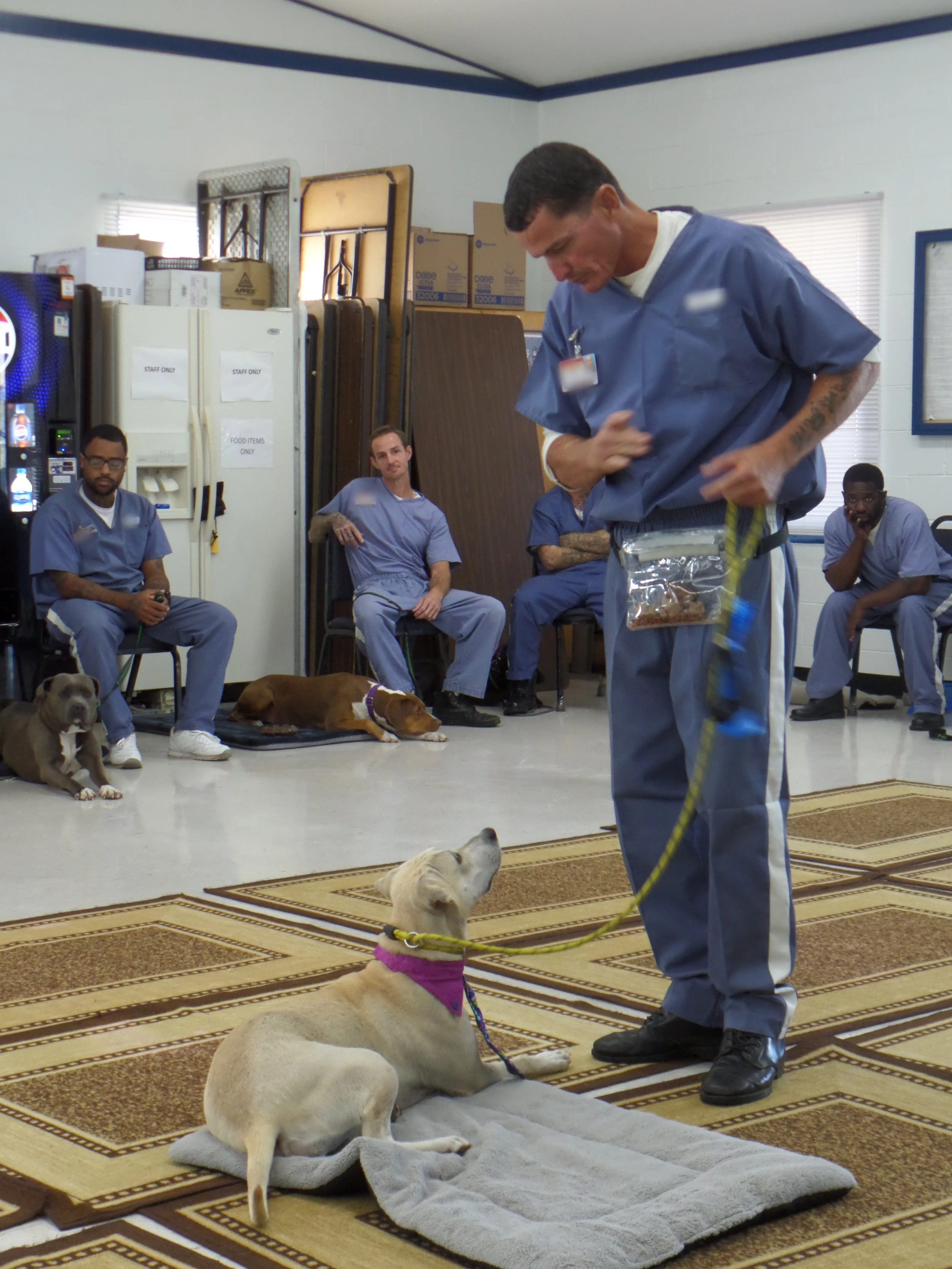 SAM_0936-8923(rev 1).jpg