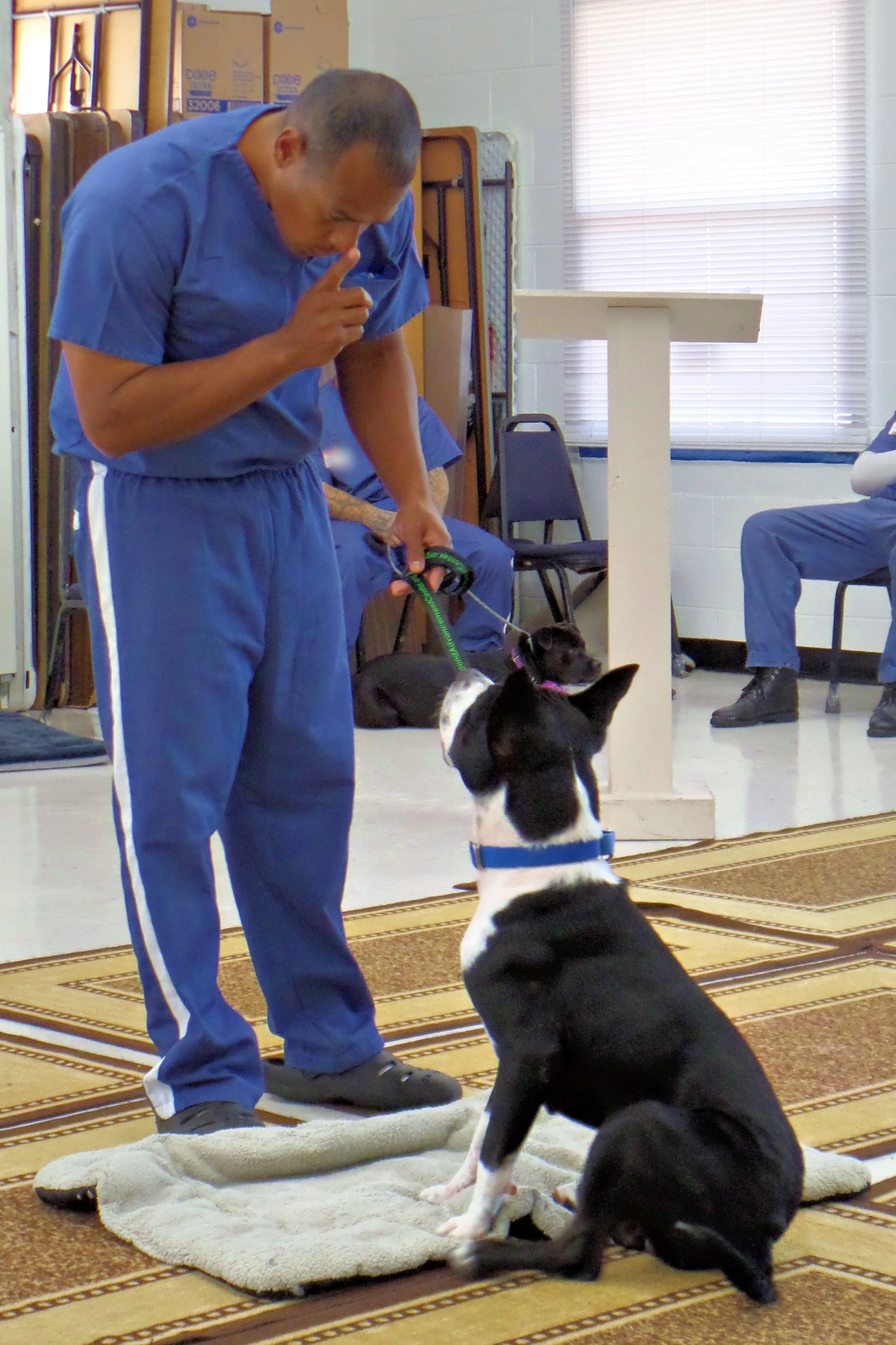 SAM_0978-8935(rev 1).jpg