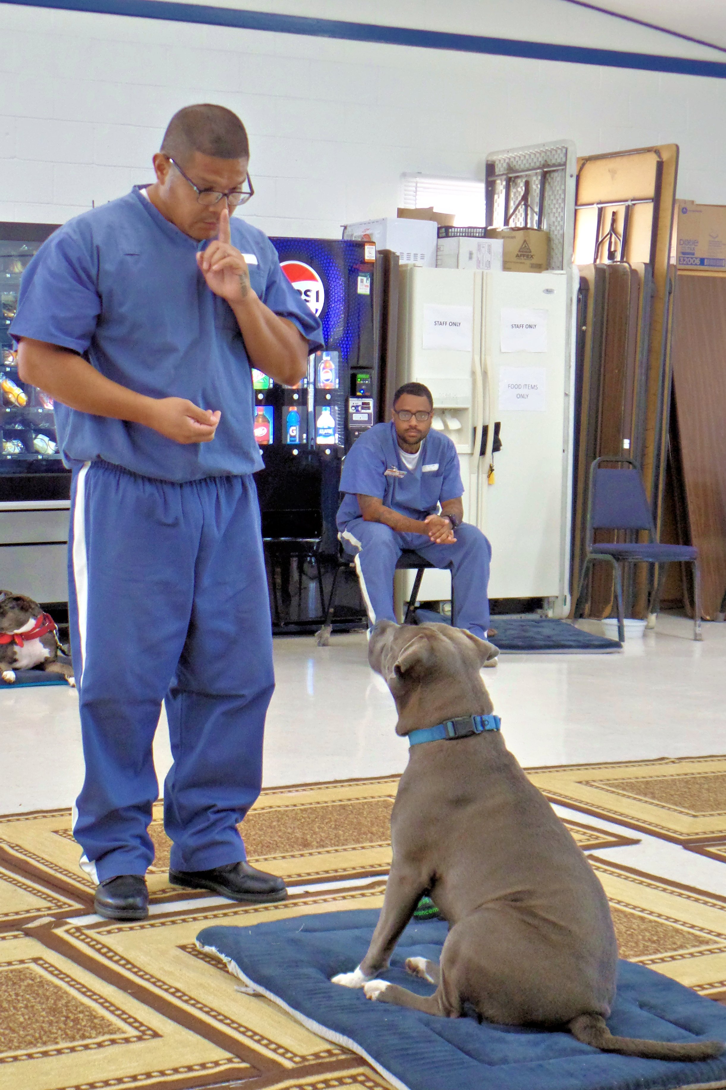 SAM_1000-8945(rev 1).jpg