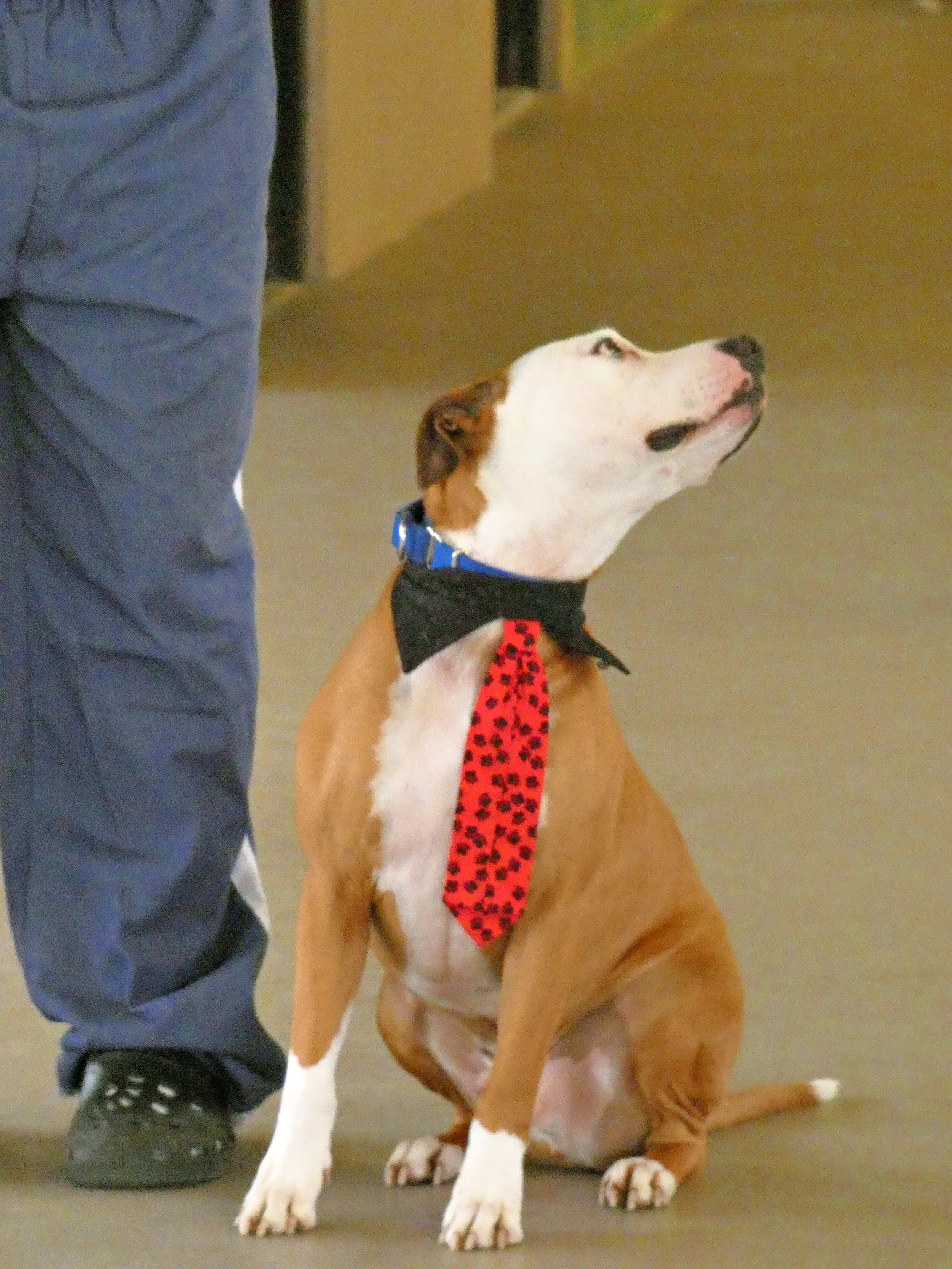 P1030828-8453(rev 1).jpg