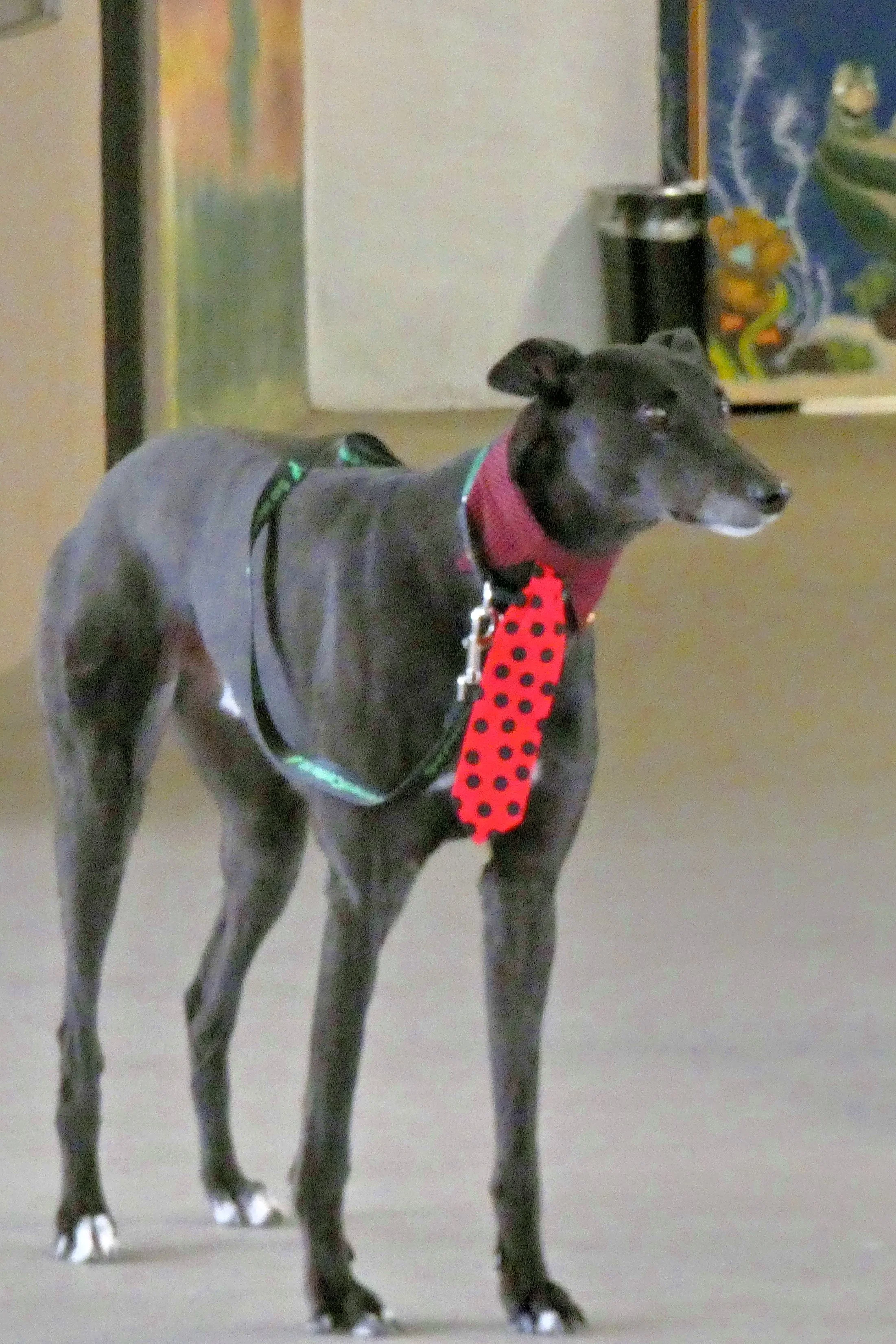 P1030837-8462(rev 1).jpg