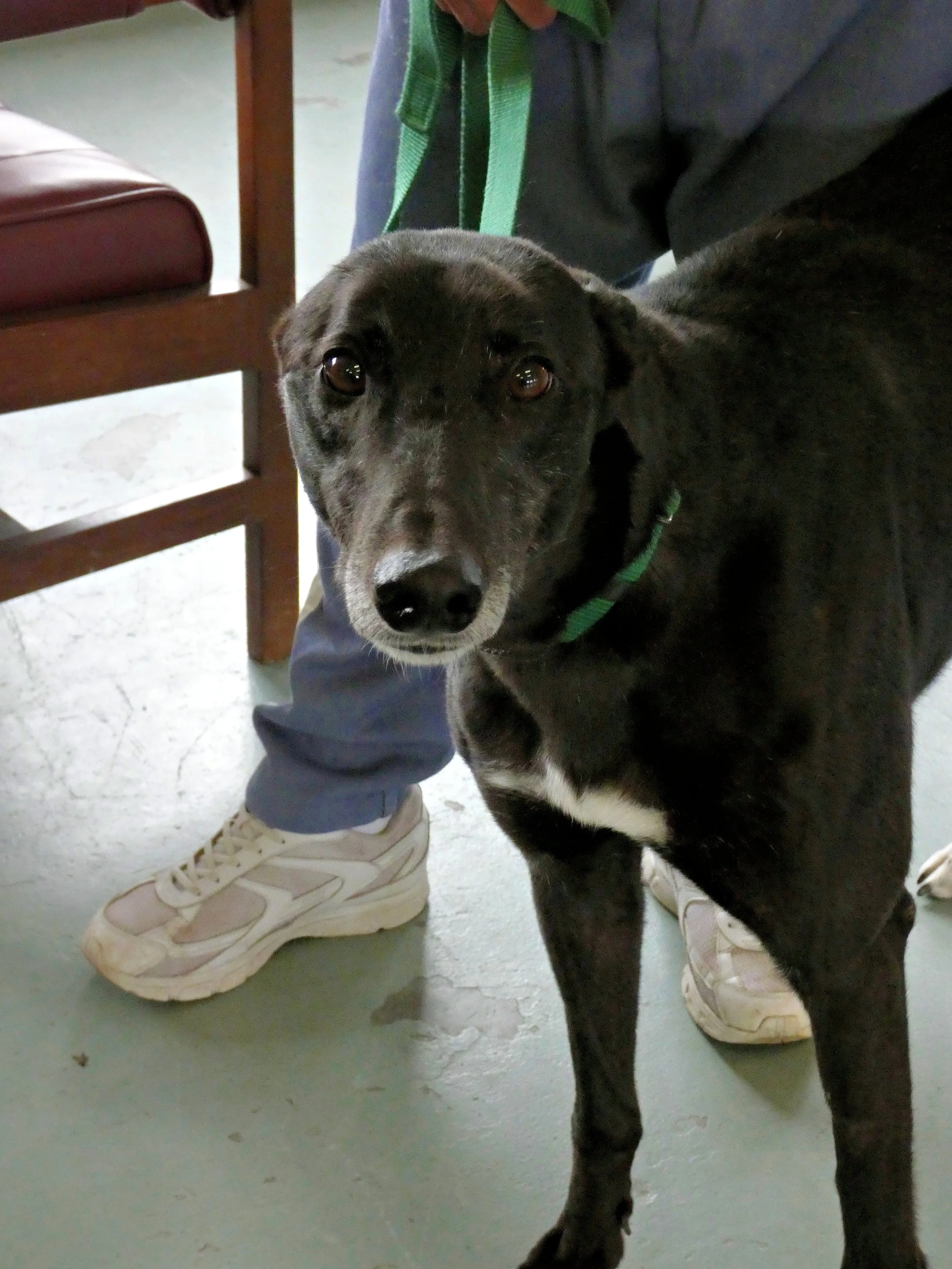 P1030812-8437(rev 2).jpg