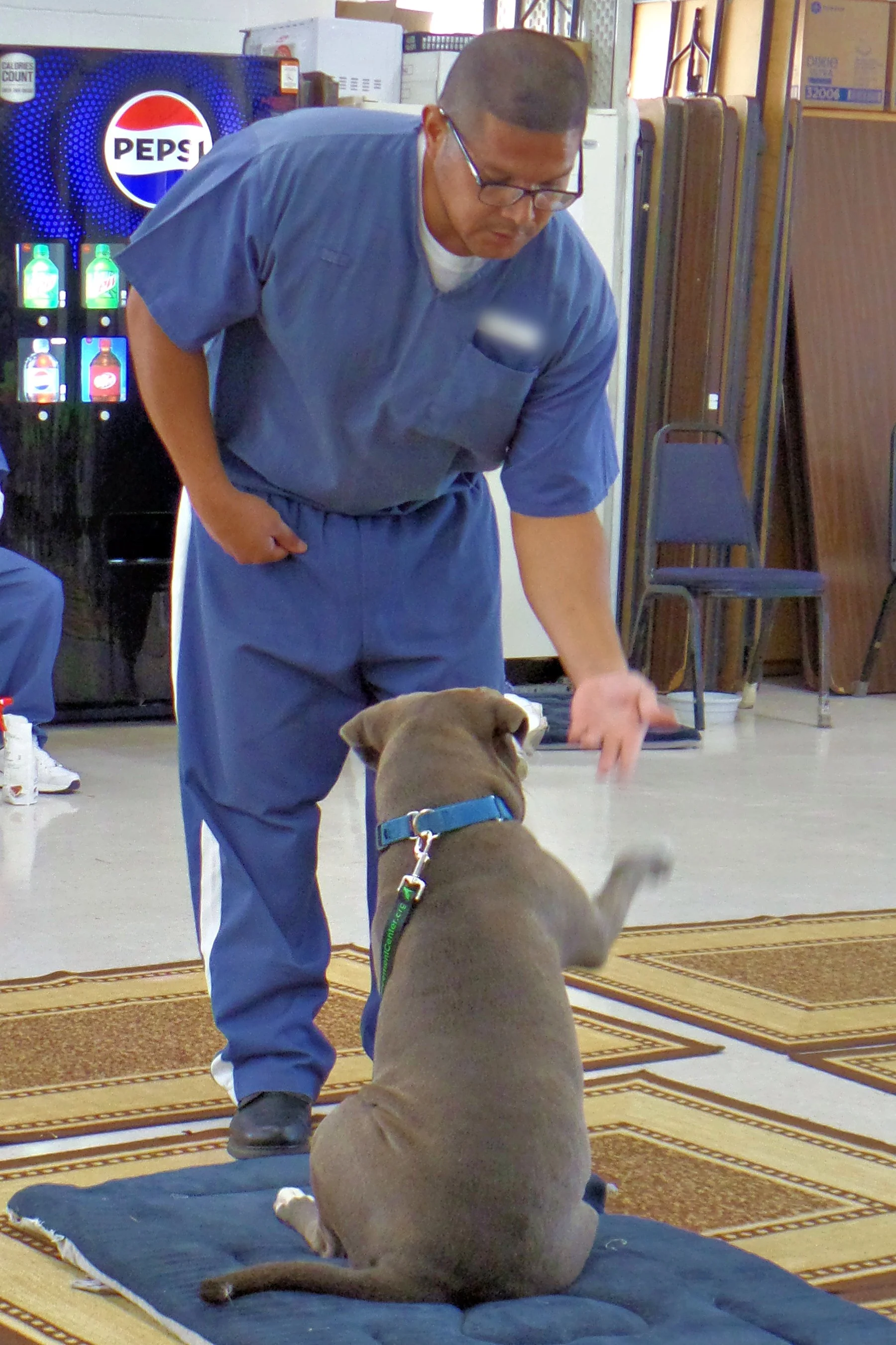 SAM_1001-8946(rev 1).jpg