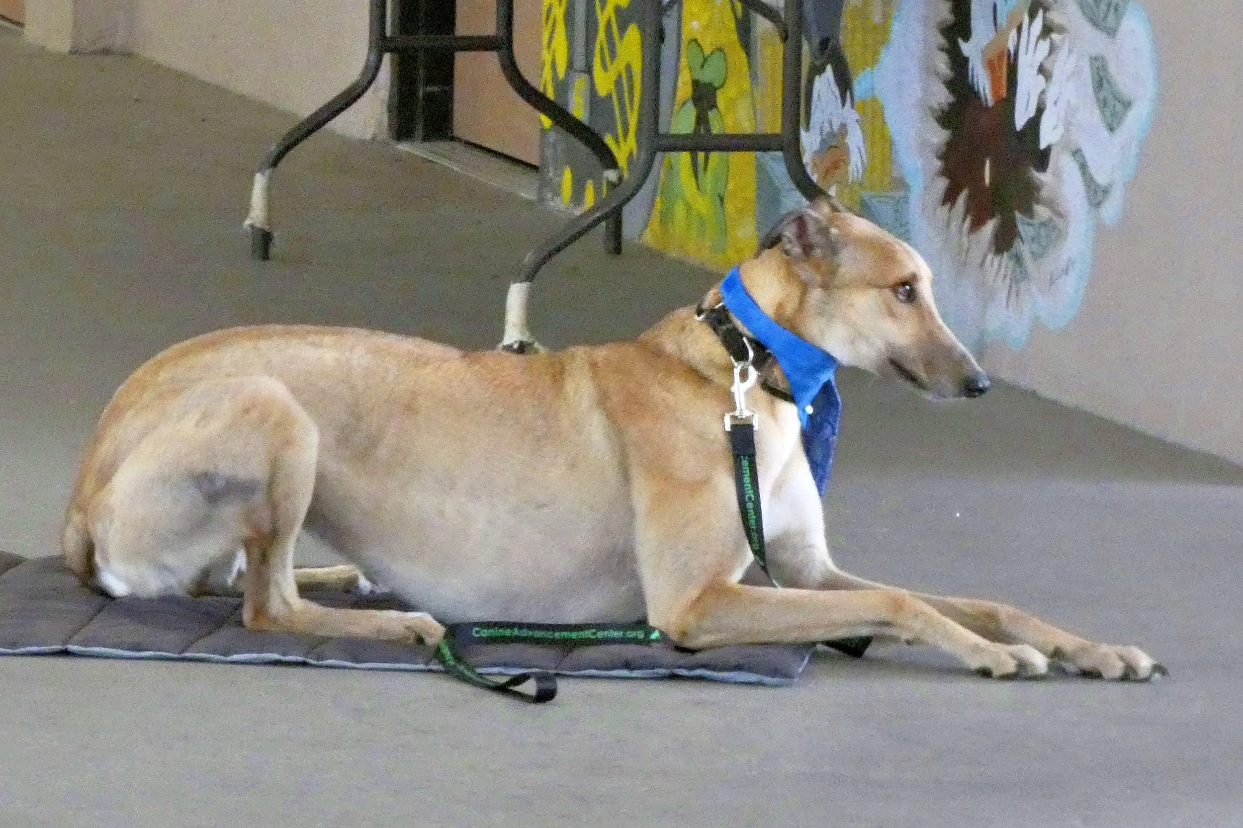 P1030834-8459(rev 1).jpg