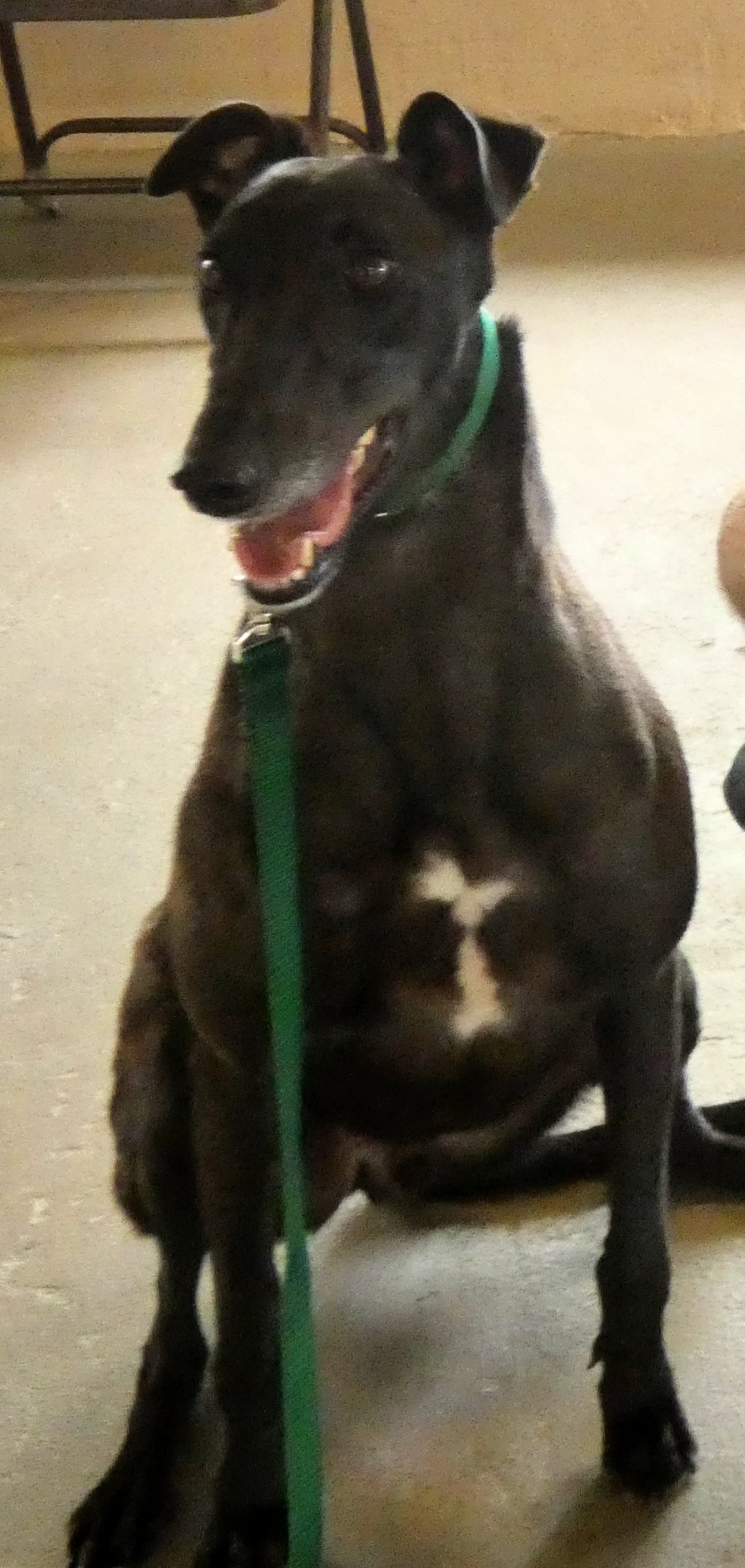 P1030029-7031(rev 0).jpg