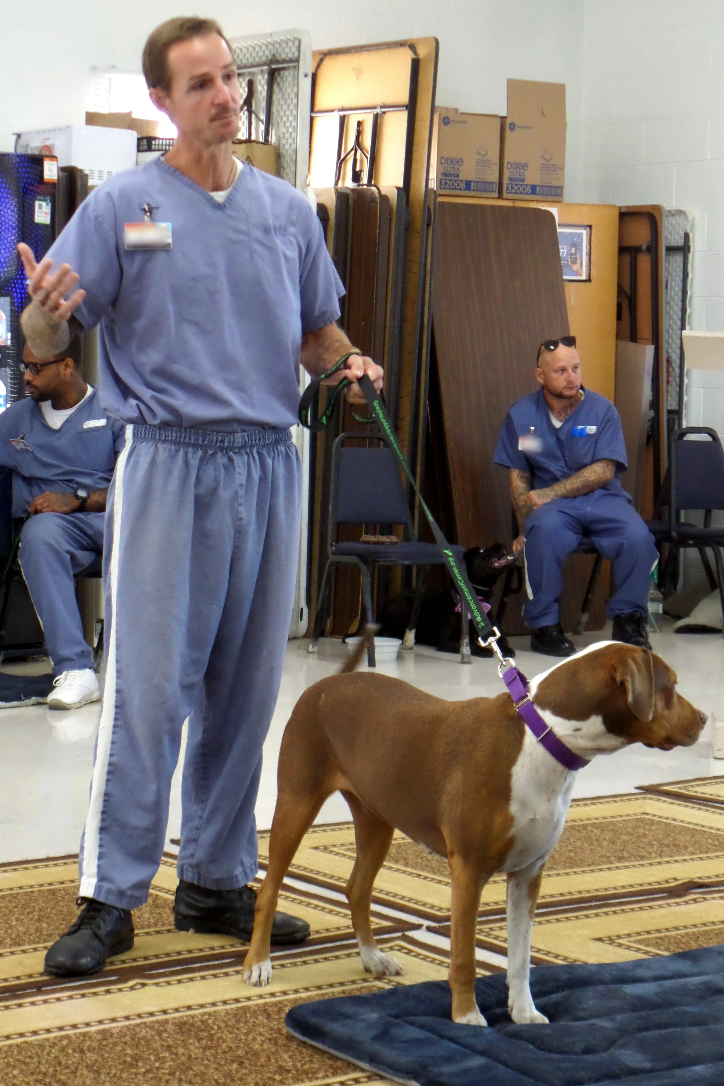 SAM_0972-8932(rev 1).jpg