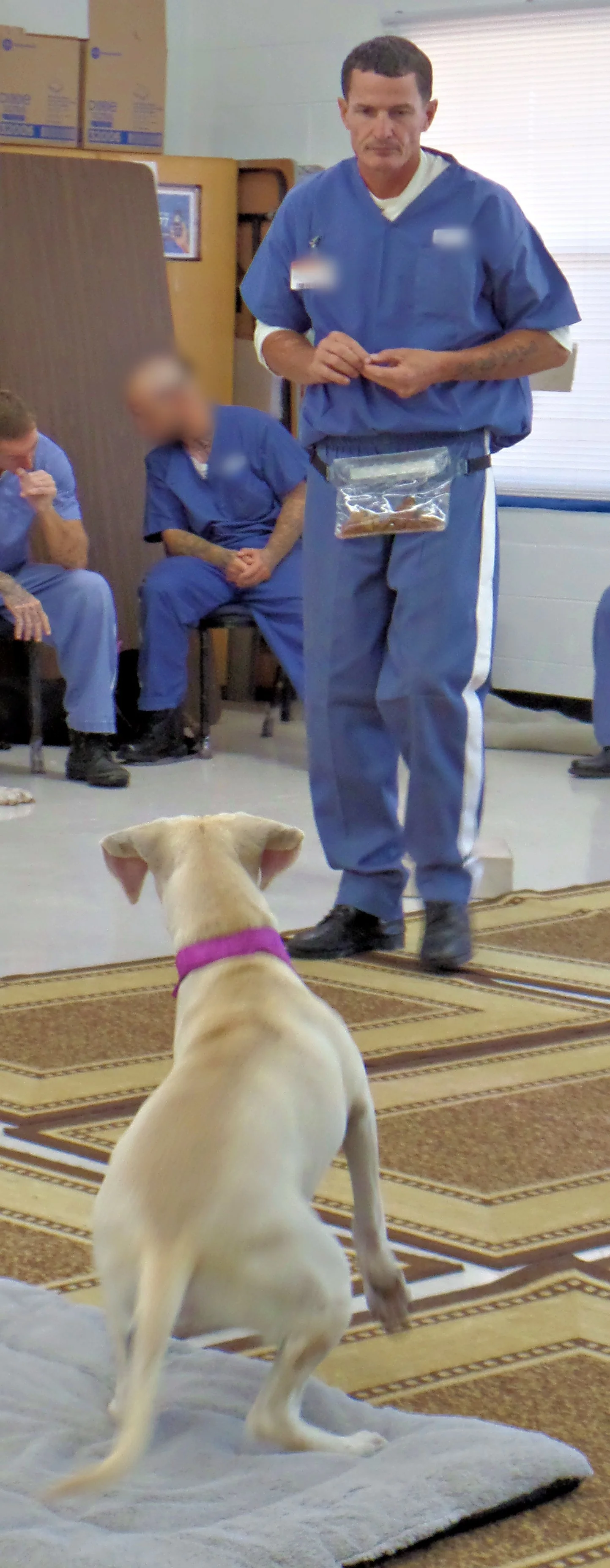 SAM_0938-8925(rev 1).jpg