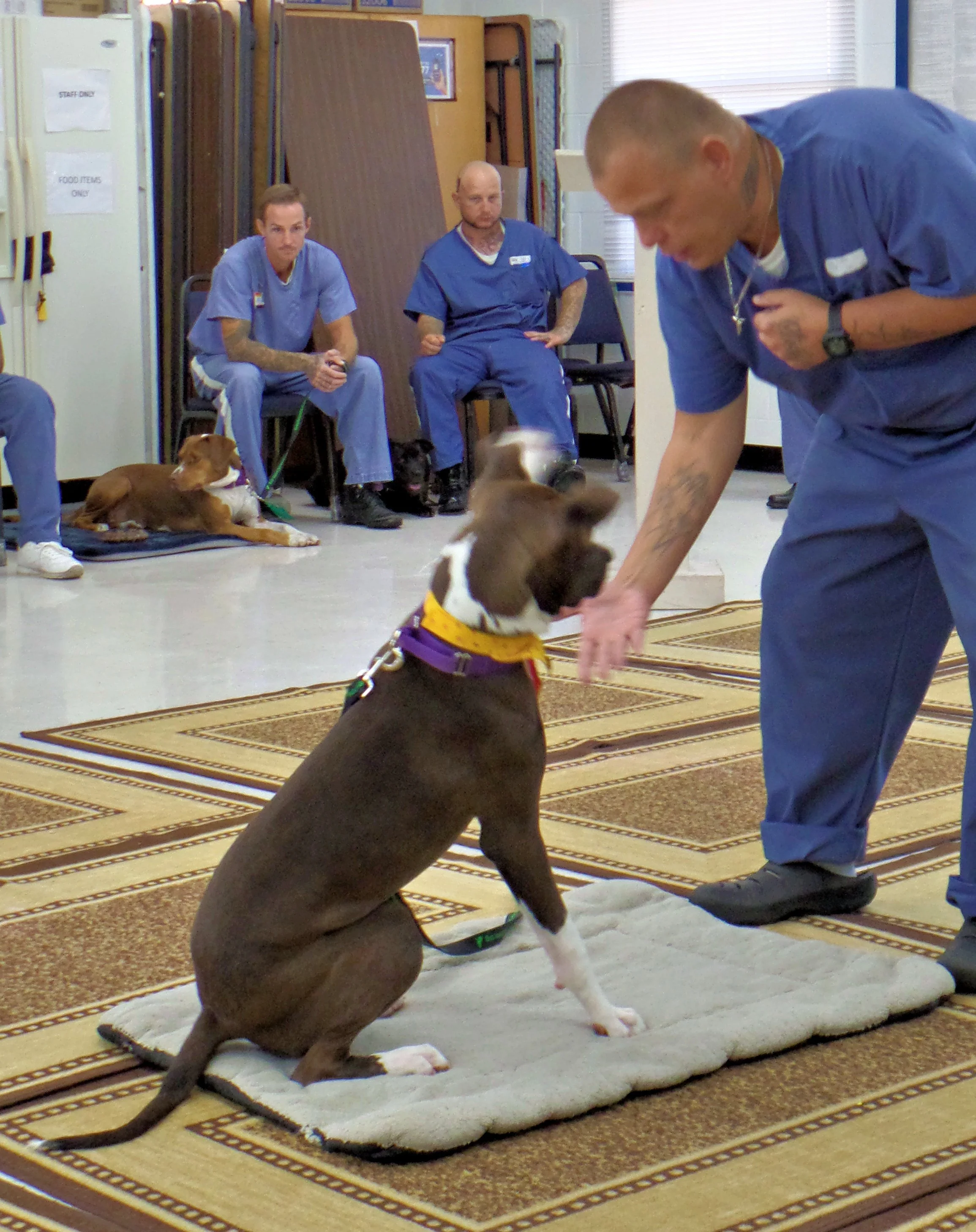 SAM_0931-8920(rev 1).jpg