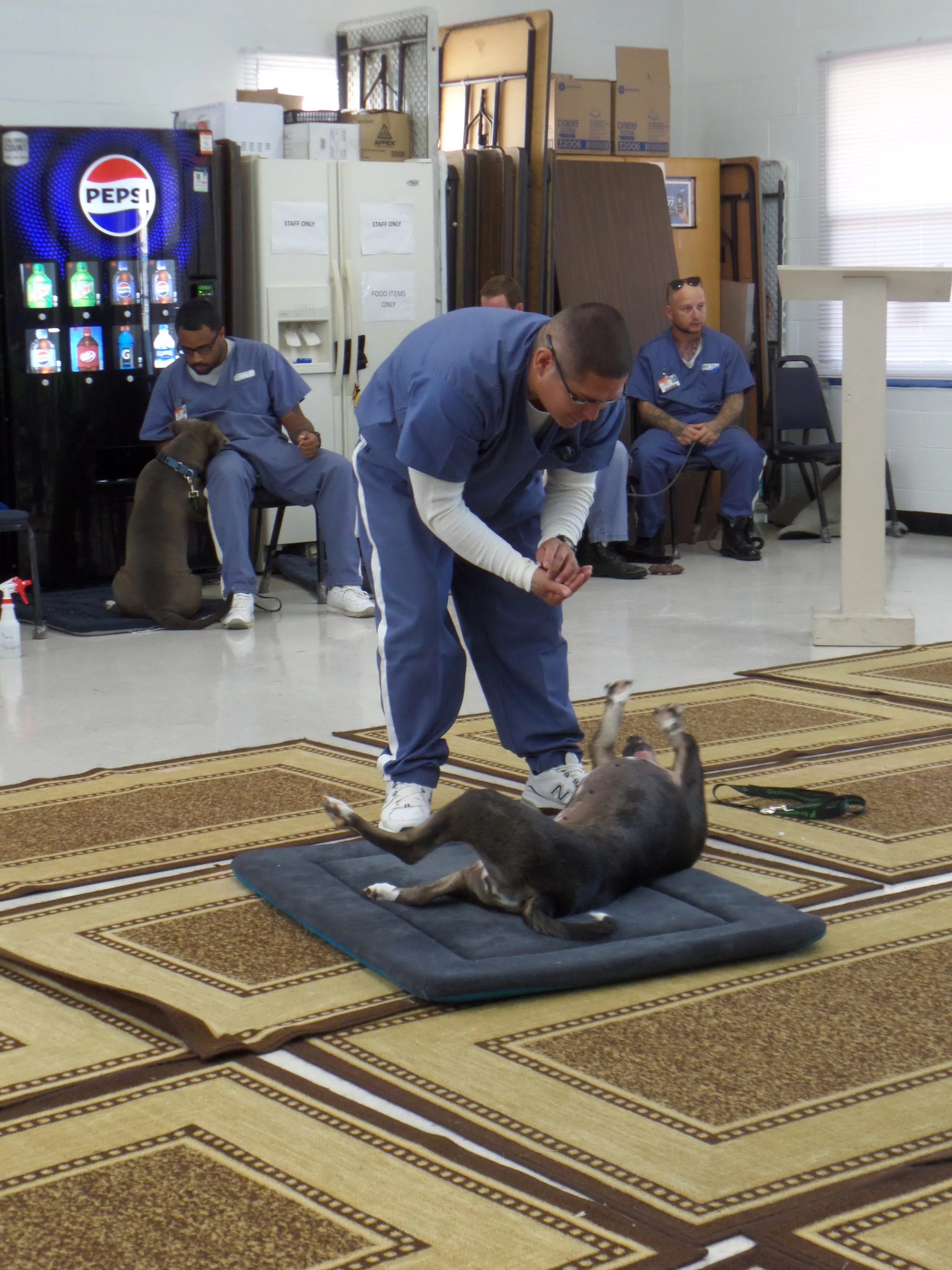 SAM_0988-8939(rev 0).jpg