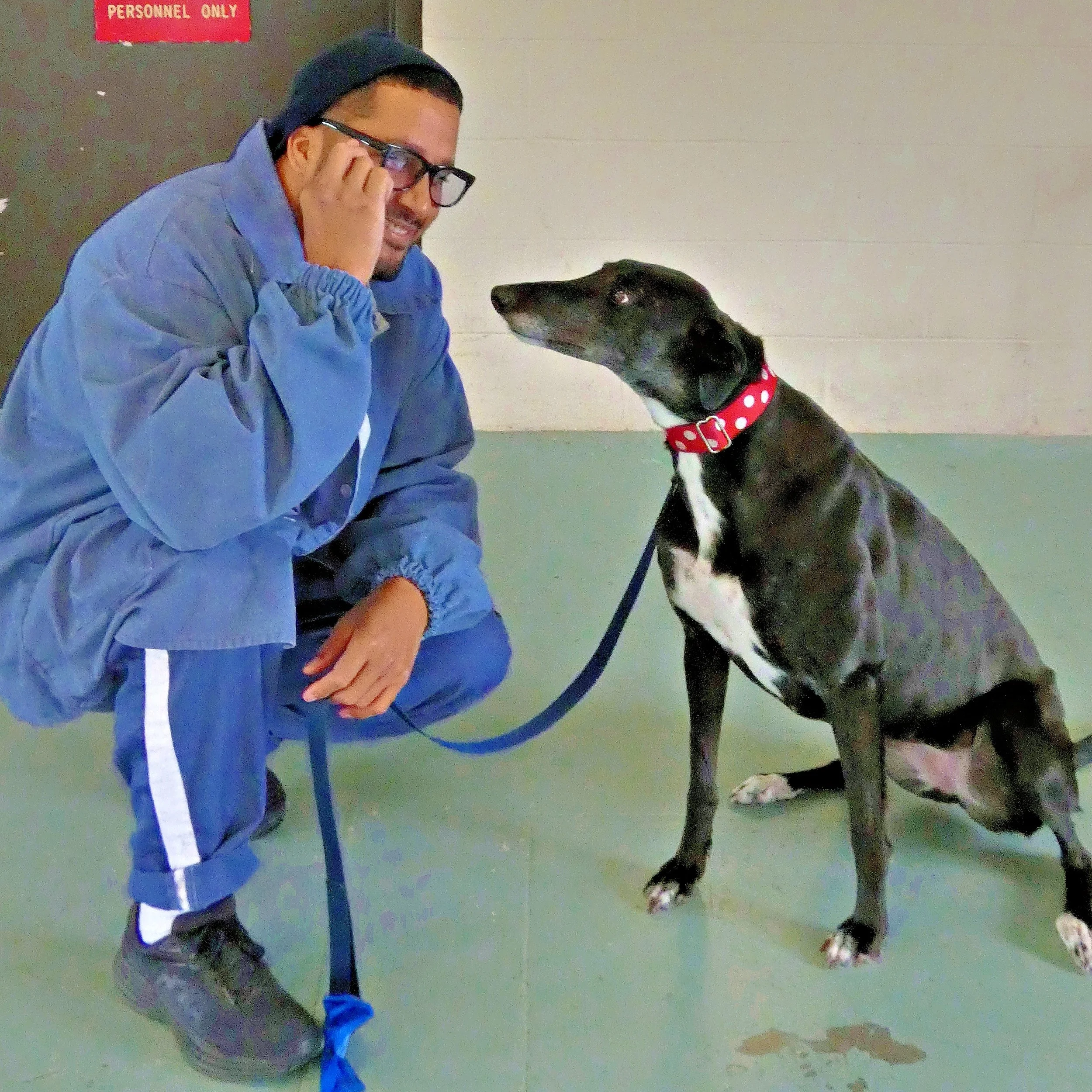 P1030803-8428(rev 2).jpg