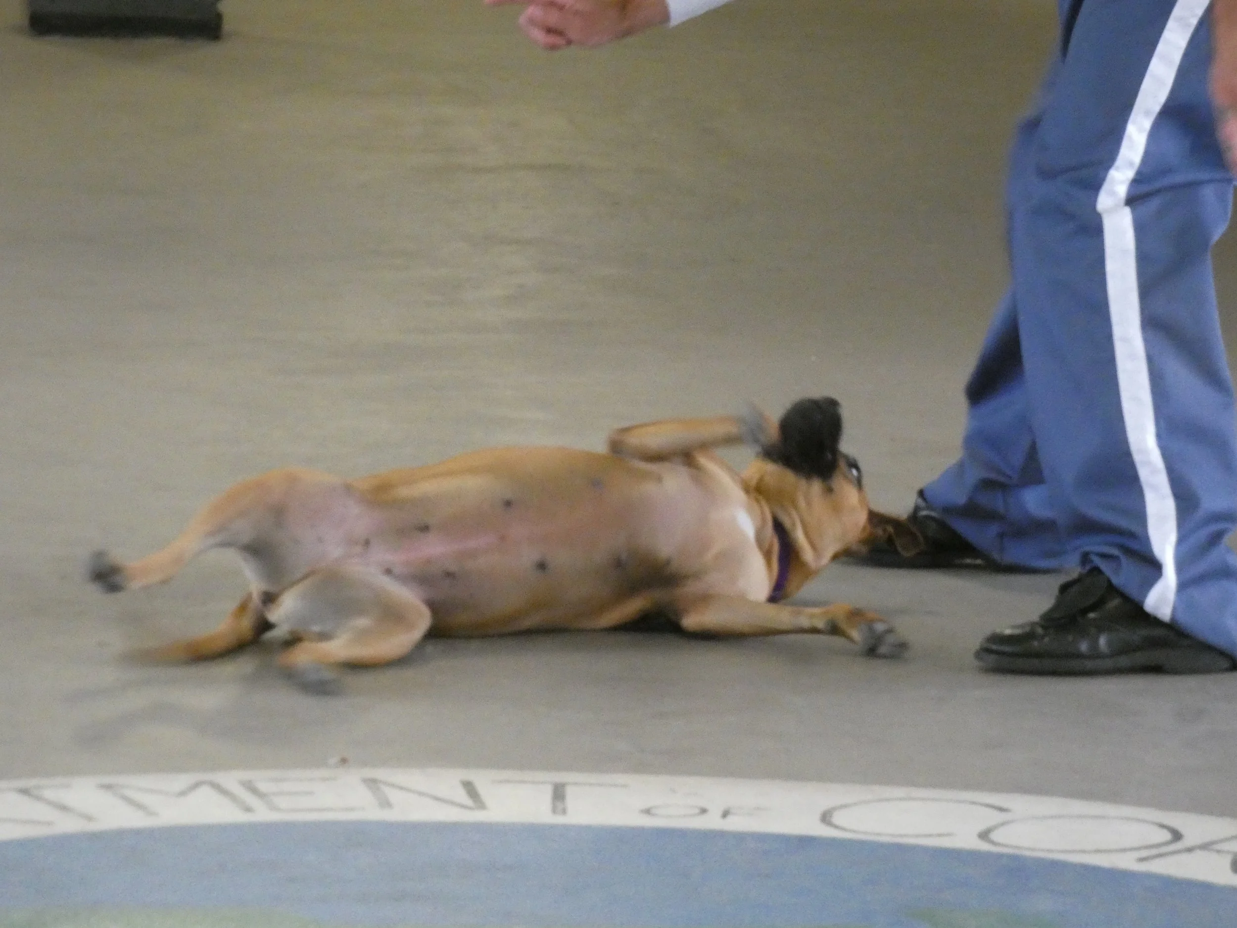 P1030842-8466(rev 0).jpg