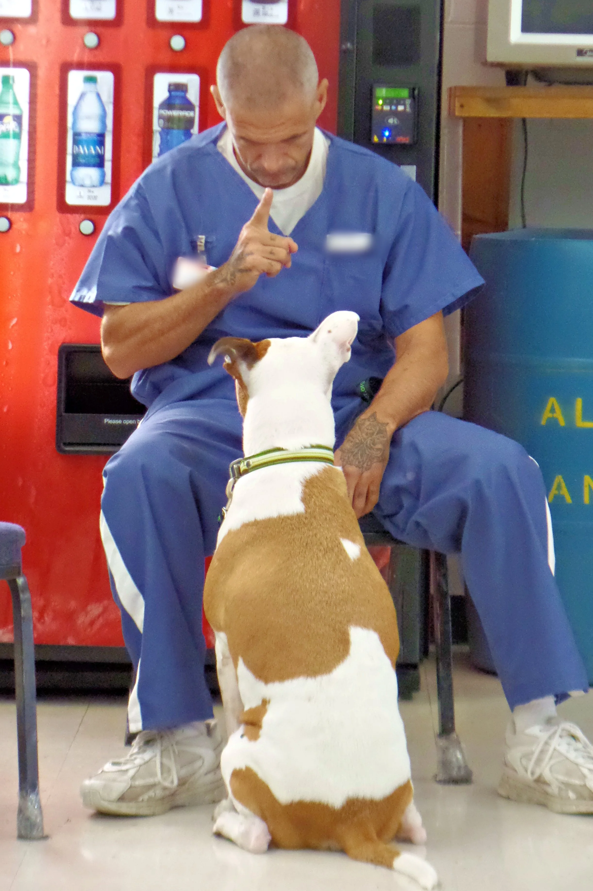 SAM_0977-8934(rev 1).jpg