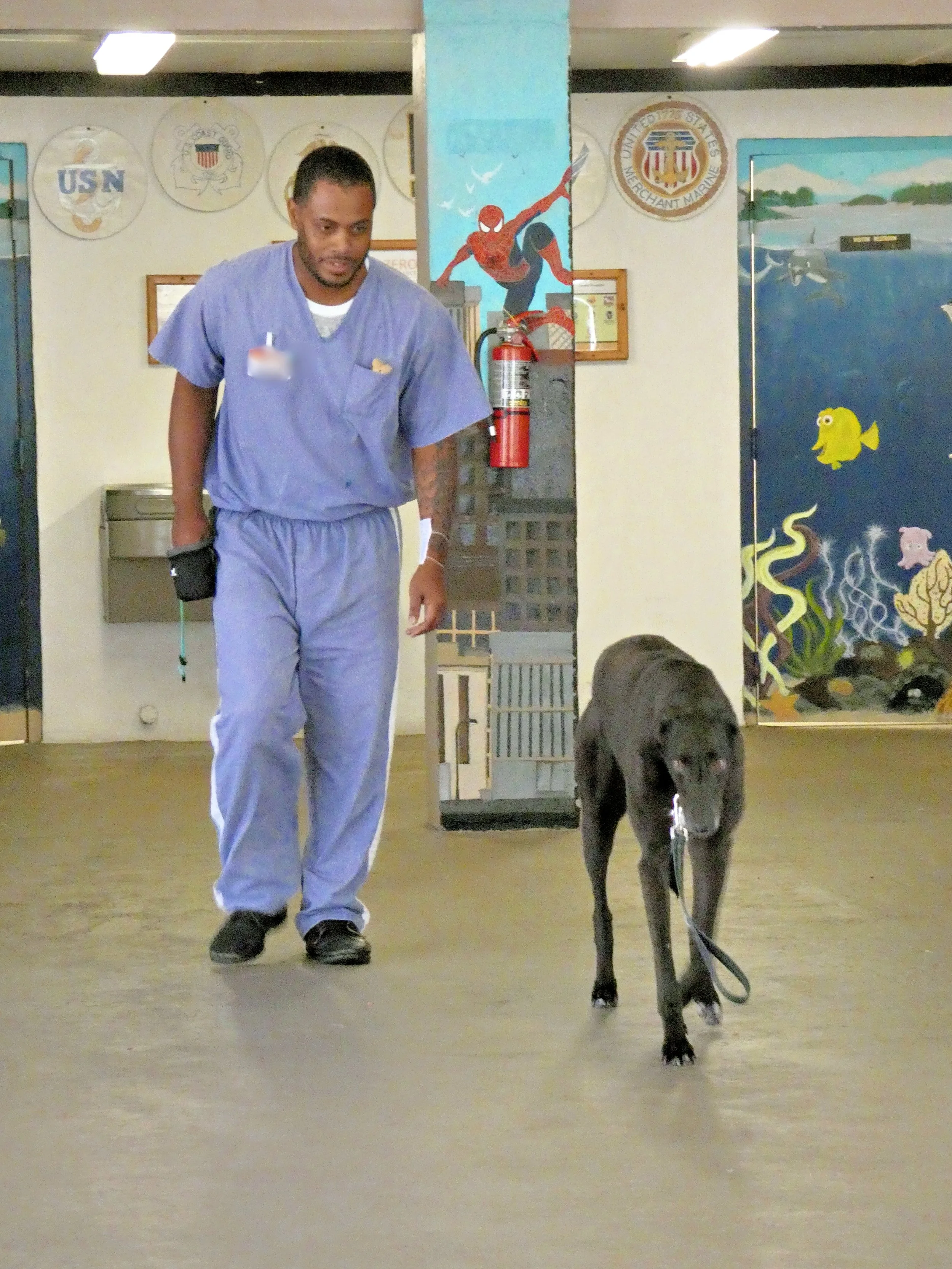 P1040165-9678(rev 1).jpg