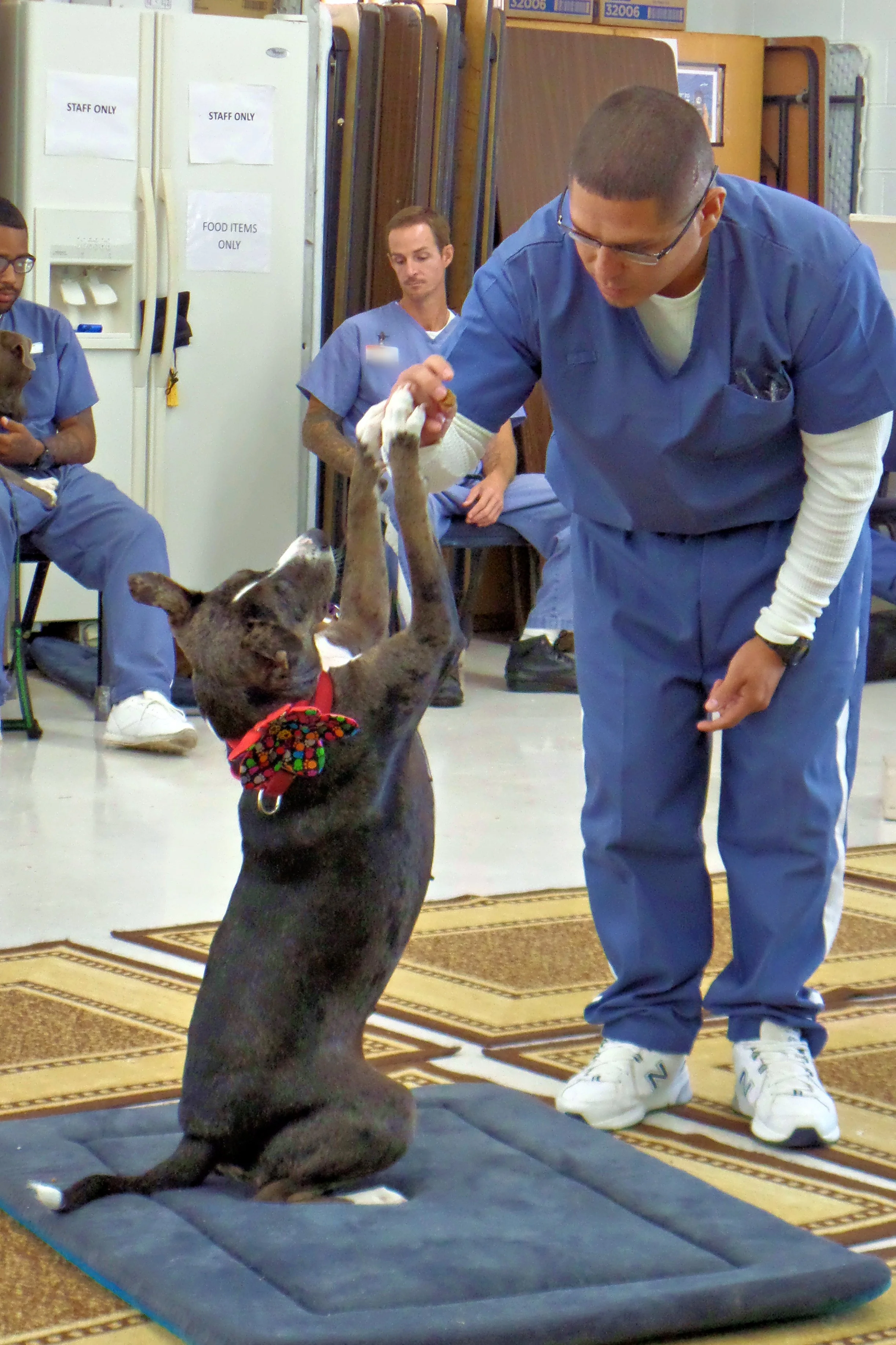 SAM_0989-8940(rev 1).jpg